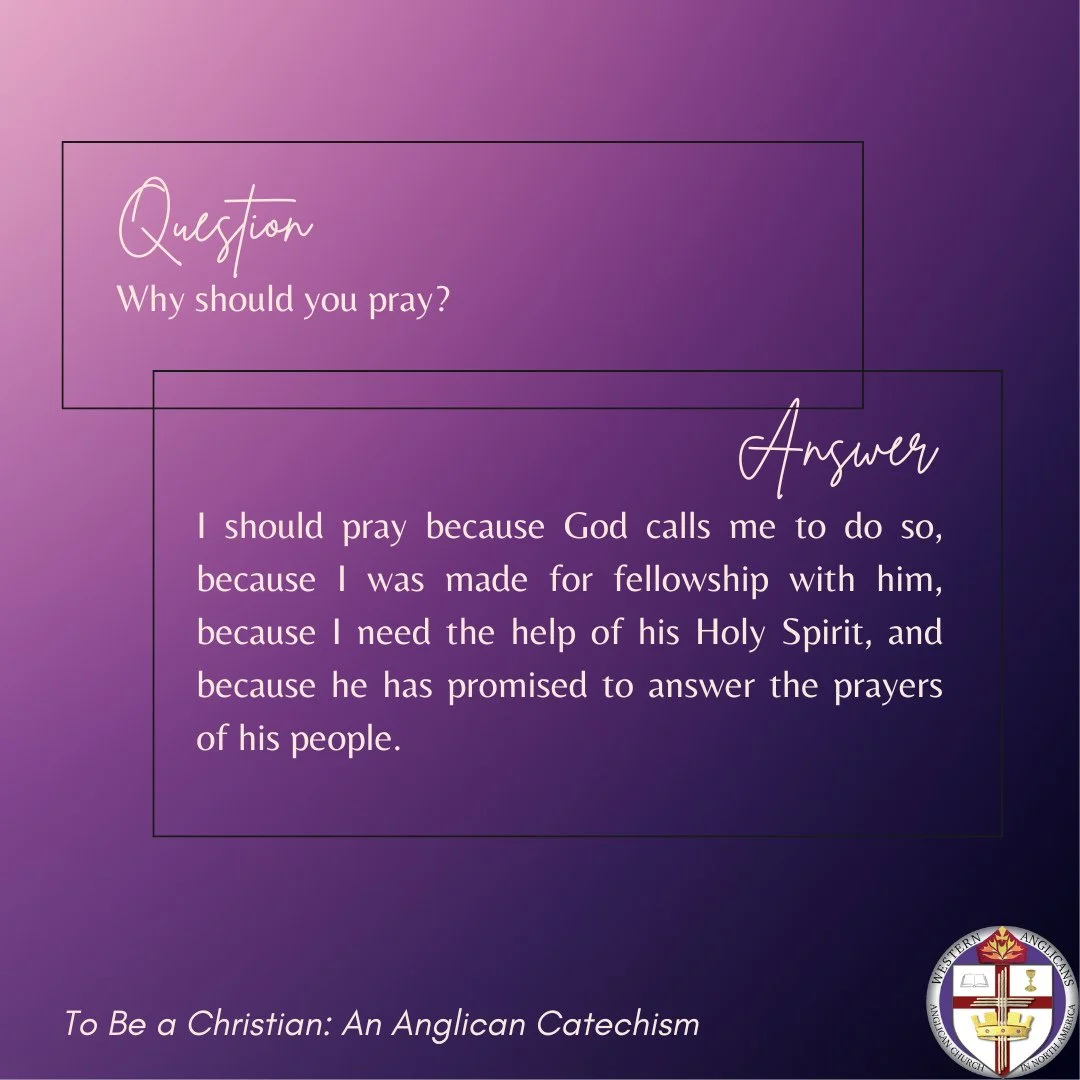 Why should you pray?⁠
⁠
I should pray because God calls me to do so, because I was made for fellowship with him, because I need the help of his Holy Spirit, and because he has promised to answer the prayers of his people.