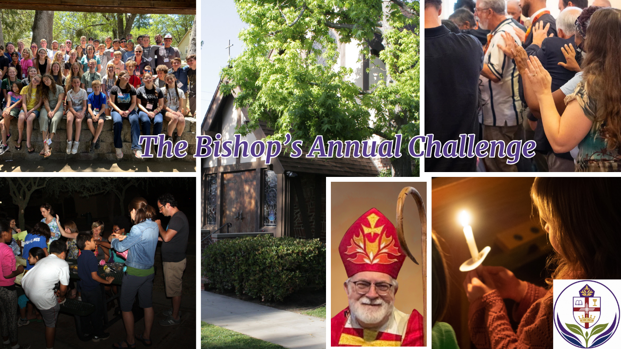 Introducing the Bishop’s Annual Challenge