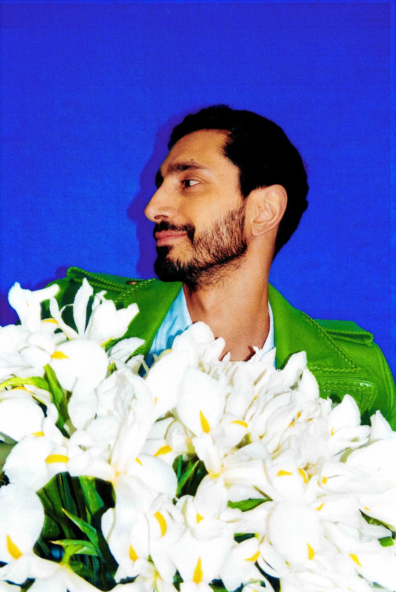 riz-3_R1.jpg