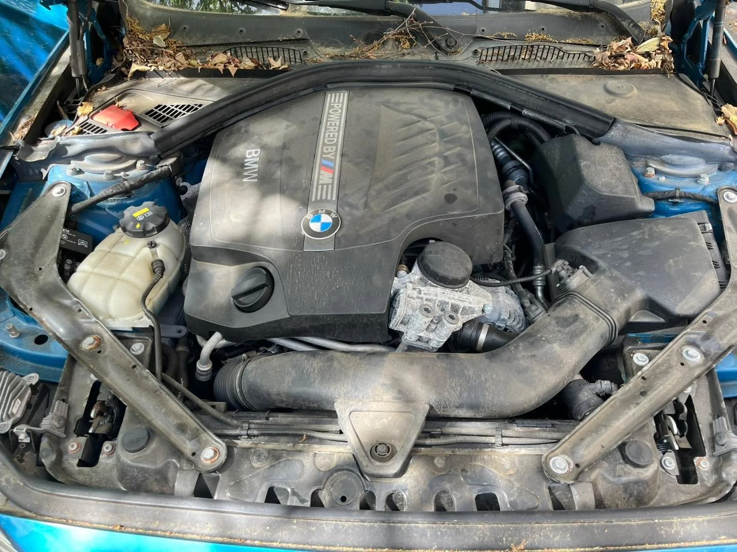 Keep Your Engine Bay Looking as Good as It Performs

Engine bay cleaning can be added to any of our detailing services &mdash; and it&rsquo;s one of the most overlooked parts of a vehicle.

Whether you drive a high-performance build or a daily driver