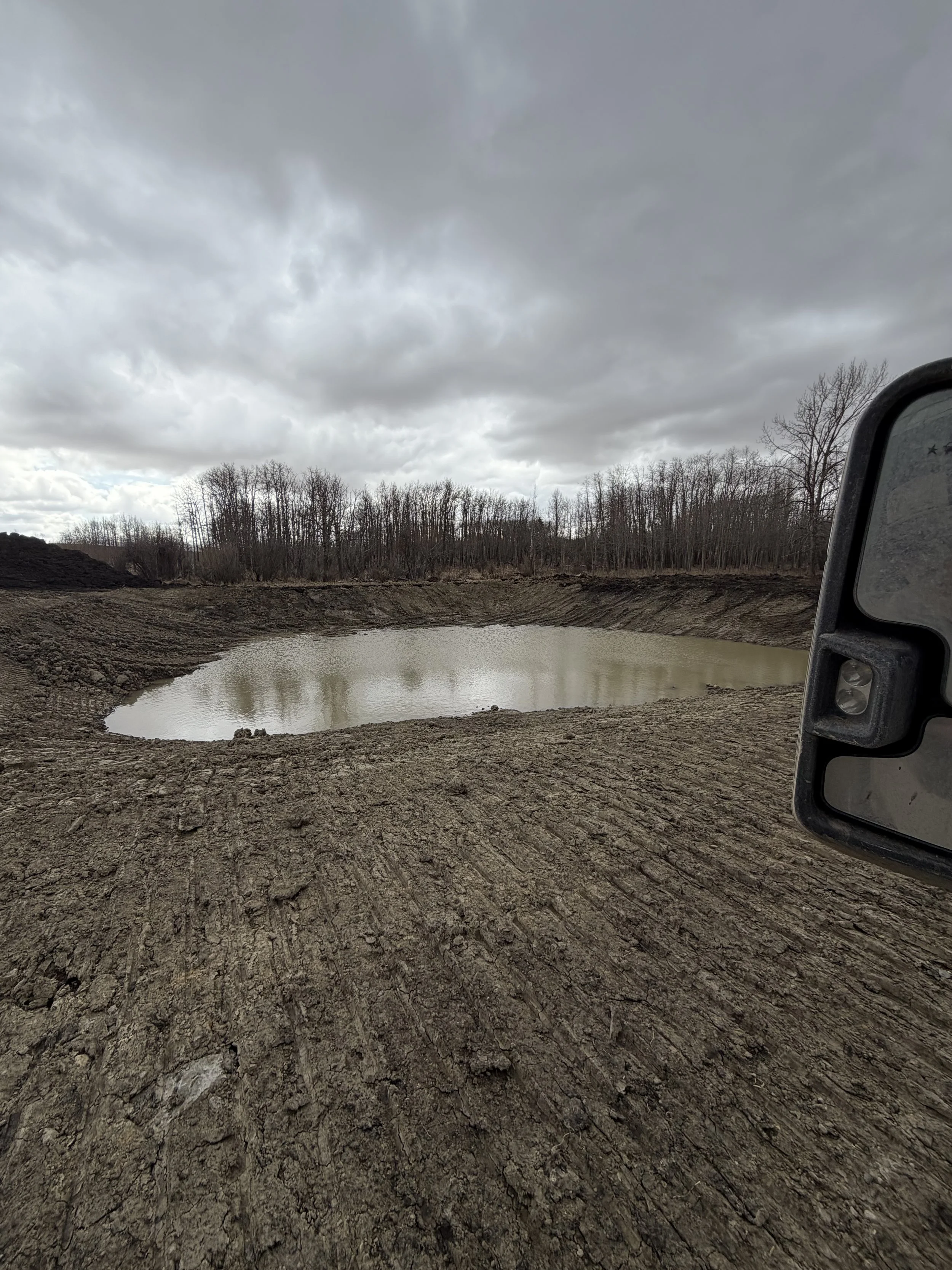 A muddy area with a small, shallow pond surrounded by bare ground and a forest of leafless trees under a cloudy sky. Part of a vehicle's side mirror is visible on the right.