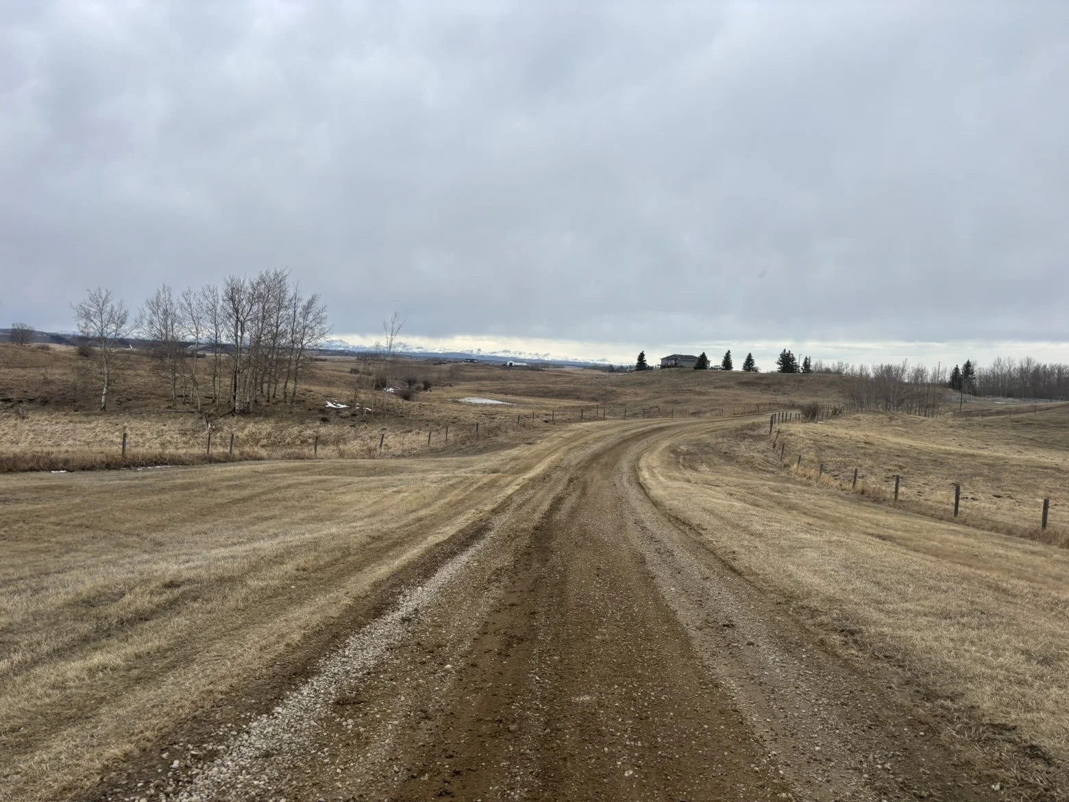 A dirt country road winding through a dry grassy field on a cloudy day, with a few leafless trees and a house in the distance.