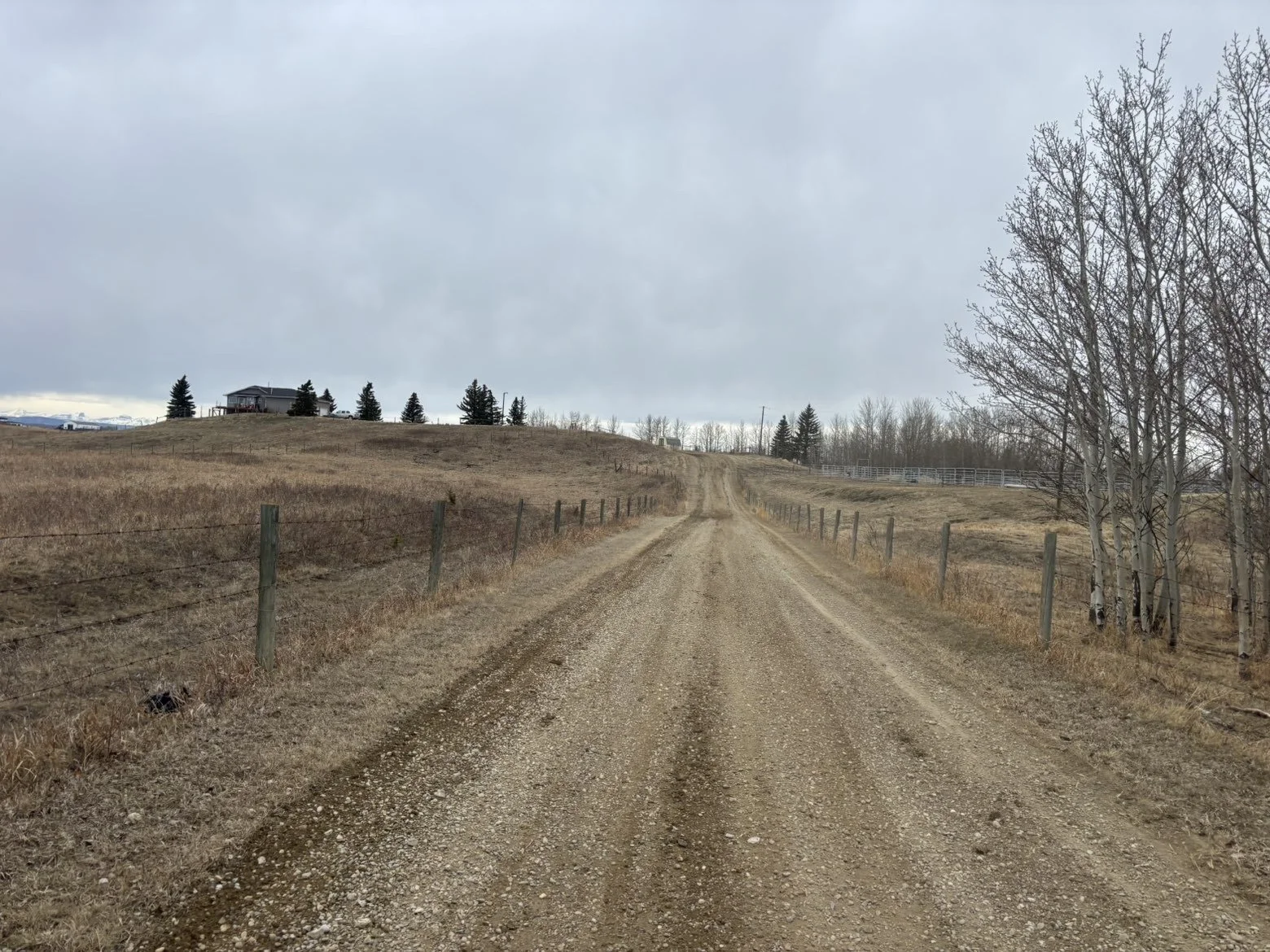 A dirt country road with tire tracks, flanked by a wooden fence on each side, leading uphill to a house on the hill, with leafless trees and cloudy sky.