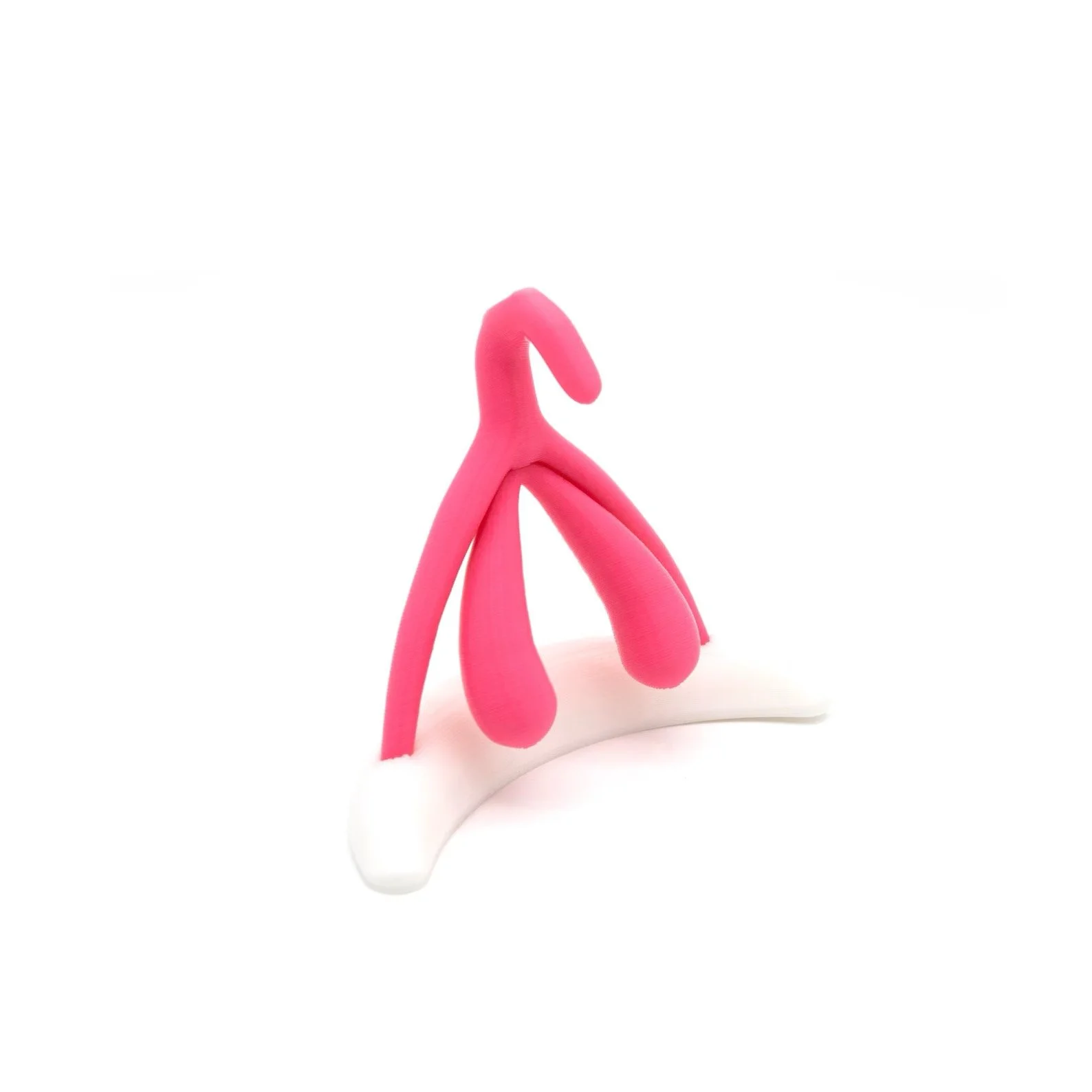 The Anatomy of the Clitoris: Why Pleasure Starts Here, Not the “G-Spot”