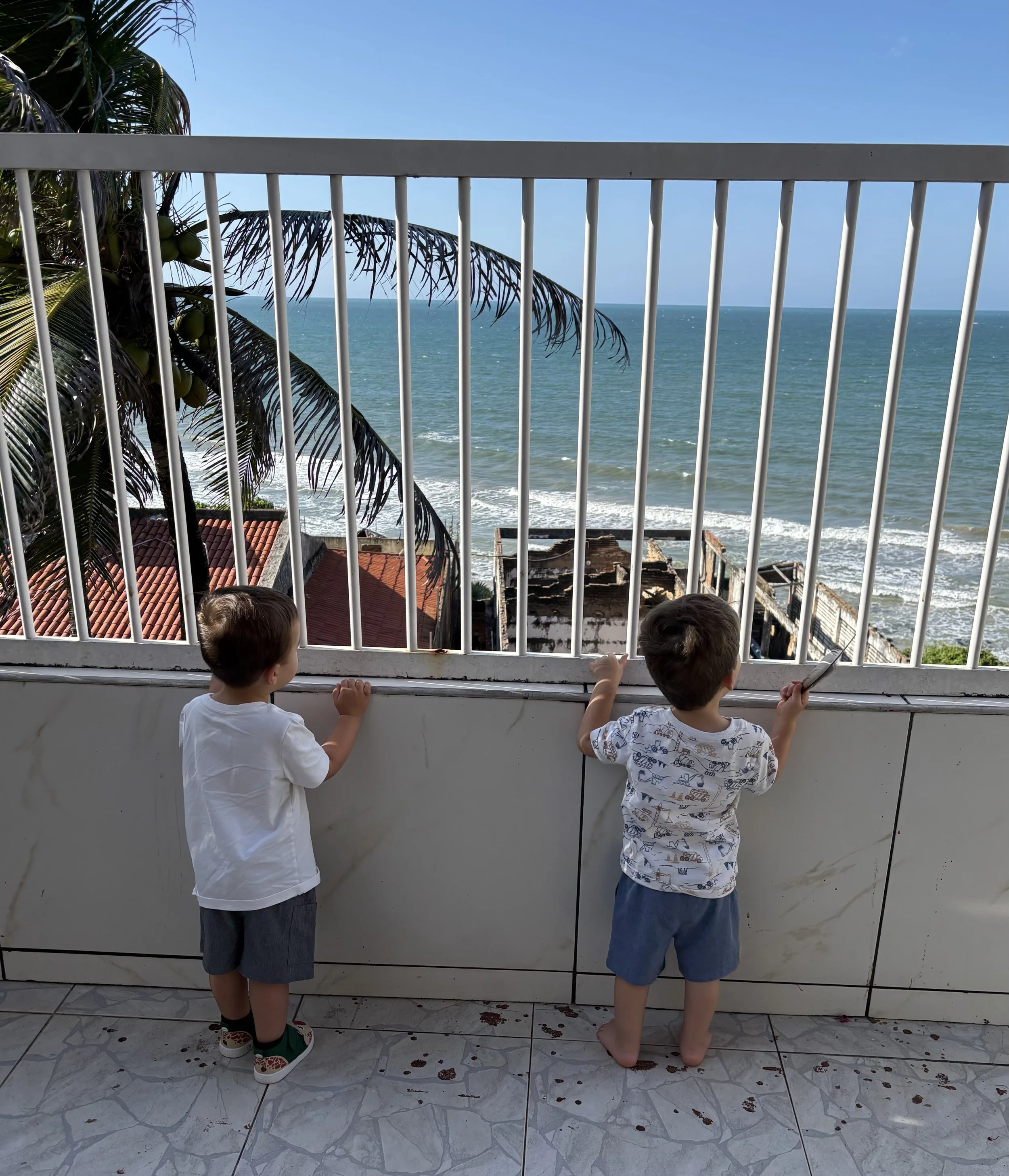 Brazil 5.jpg