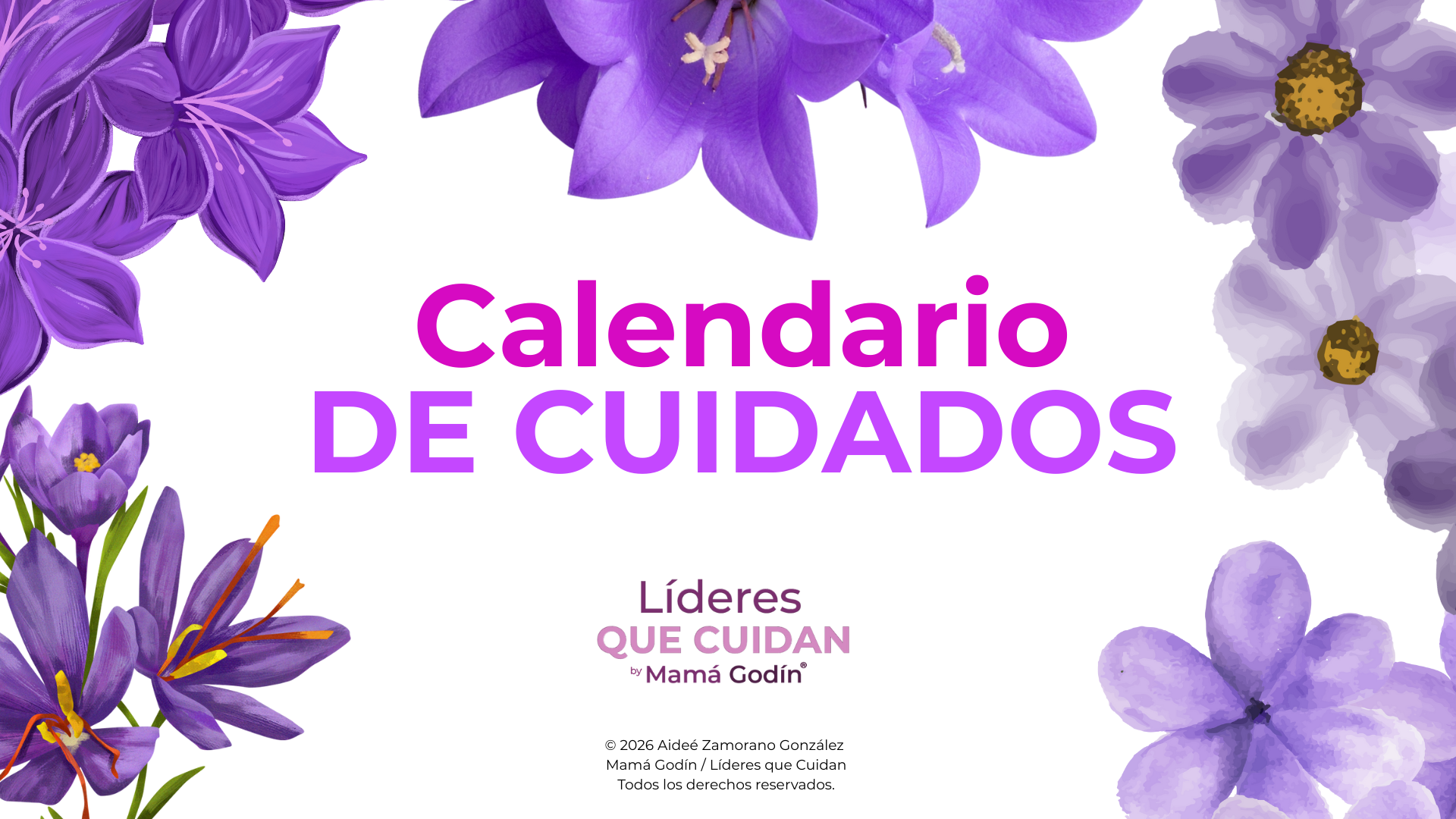 CalendariodeCuidados_MamáGodín.png