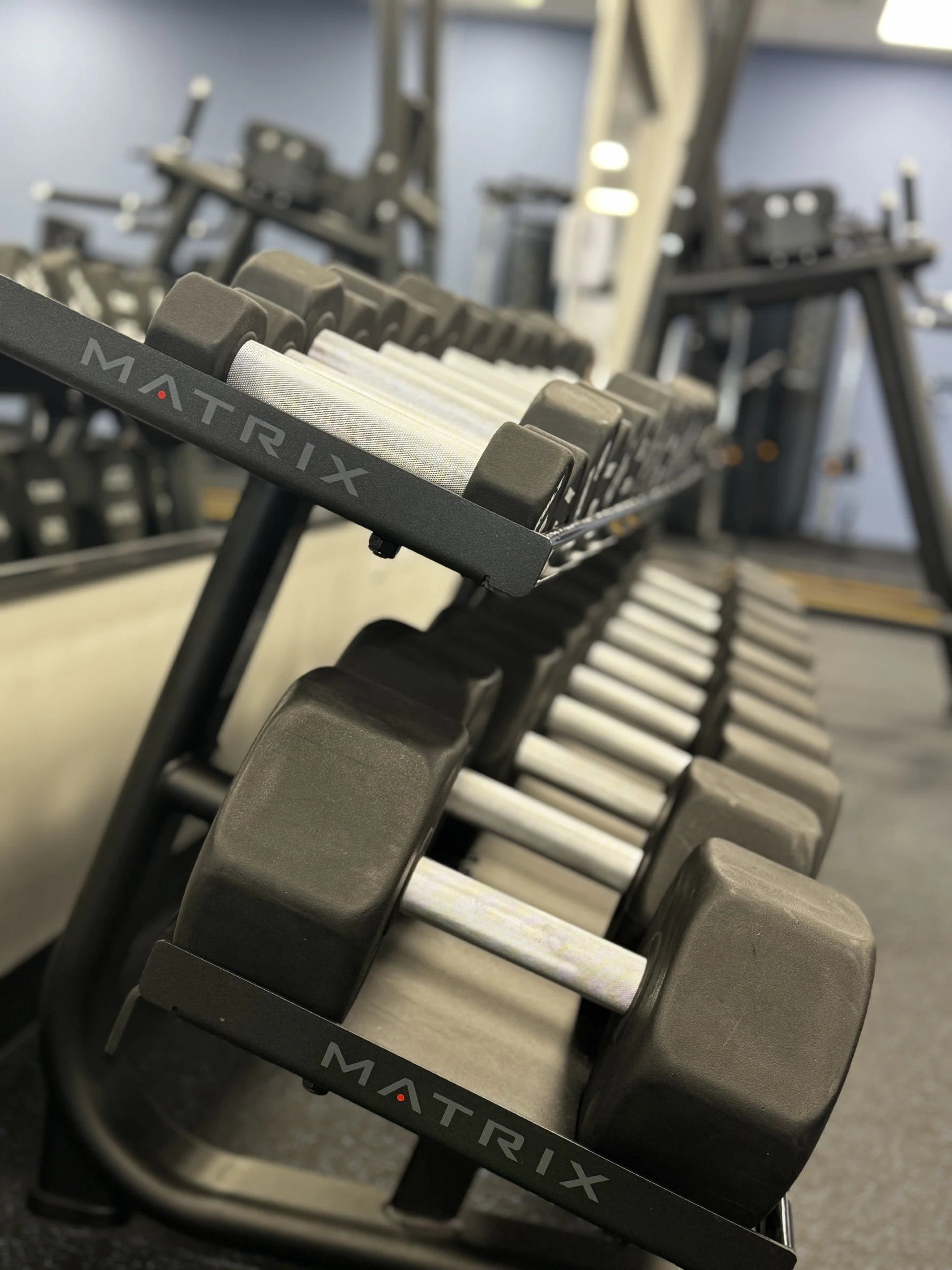 Scenic landscape of a lake with mountain ranges in the background and rolling grassy hills in the foreground, under a cloudy sky.