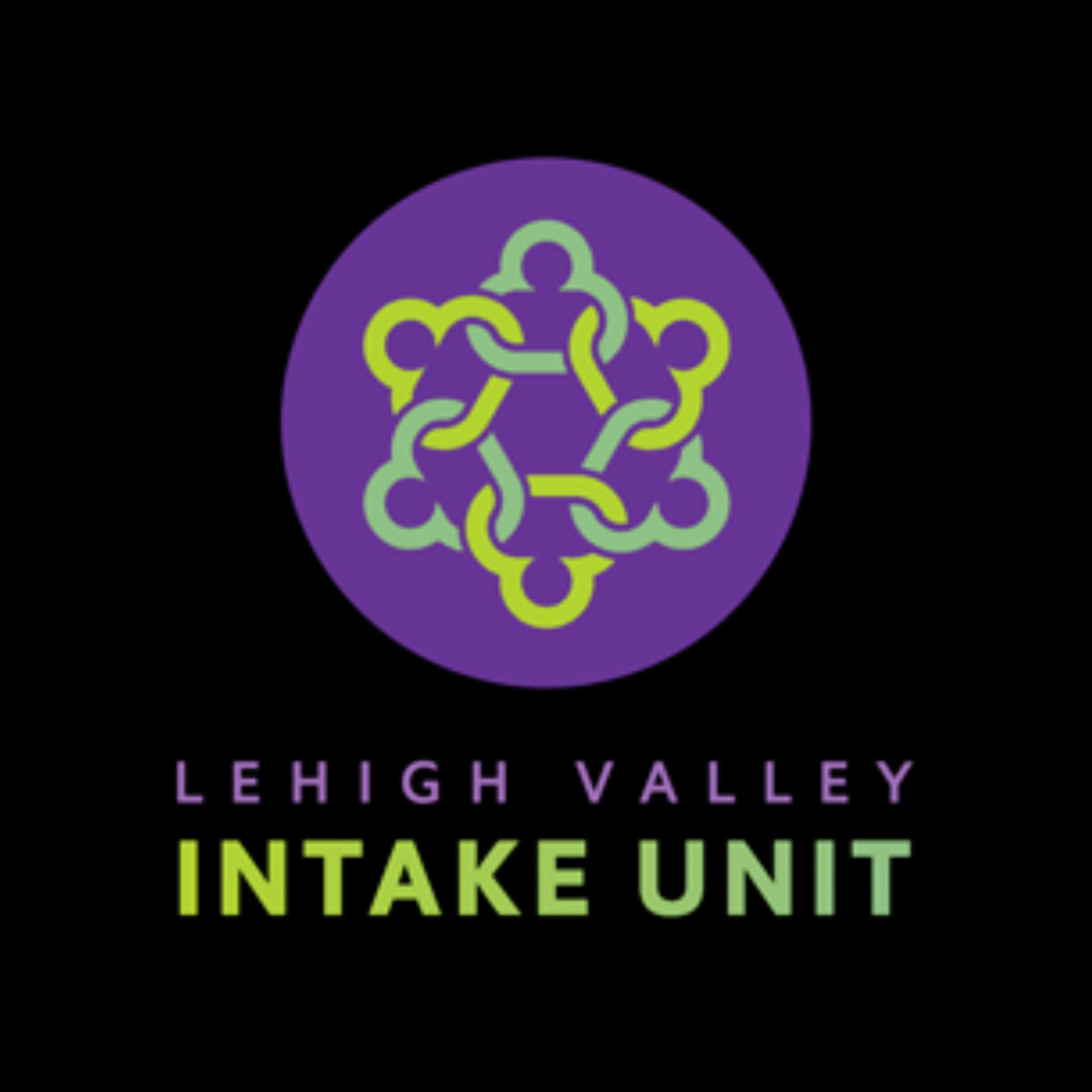 Logo for Lehigh Valley Intake Unit featuring interconnected lines forming a circular pattern, with purple and green colors and text below that reads "Lehigh Valley Intake Unit."
