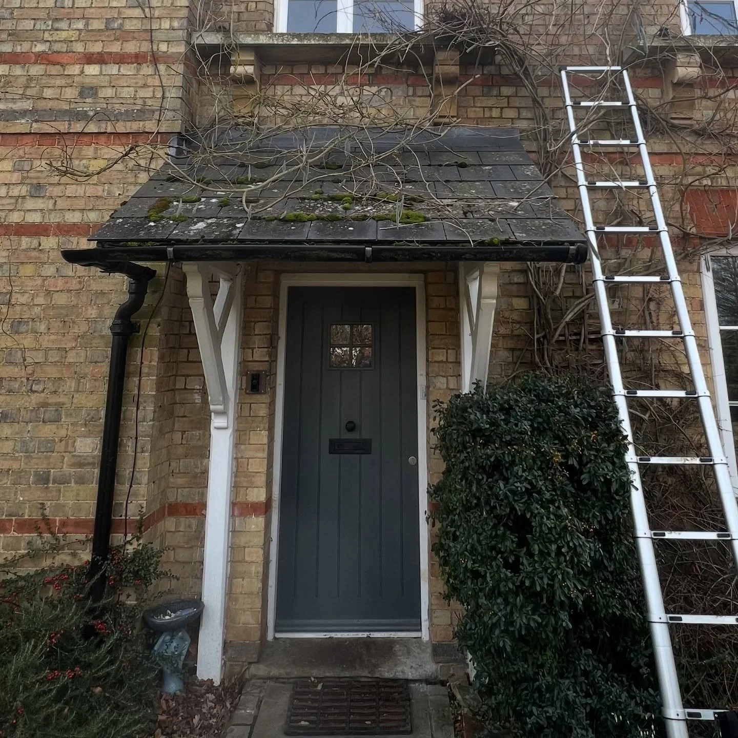 Lopping off this unruly Wisteria before it destroys too much of the guttering!🪷

Visit my Website via the link in my bio! 🔗 

or

Drop me a message for any Enquiries!

@leatherdalegardens

#gardens #gardensofinstagram #gardenmaintenance #beforeanda