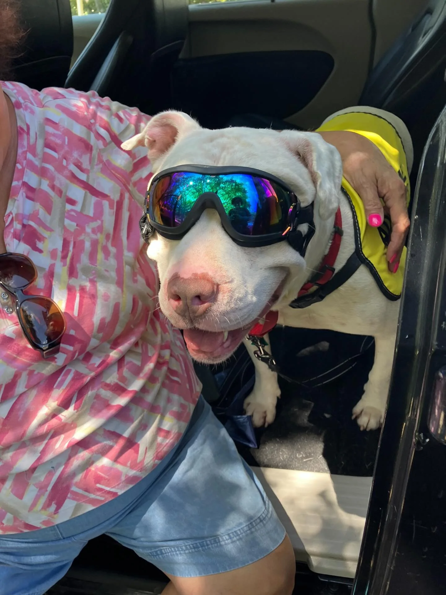 Congrats to our August clients! They made the hot summer bearable 😂 absolutely had a blast #dogtraining