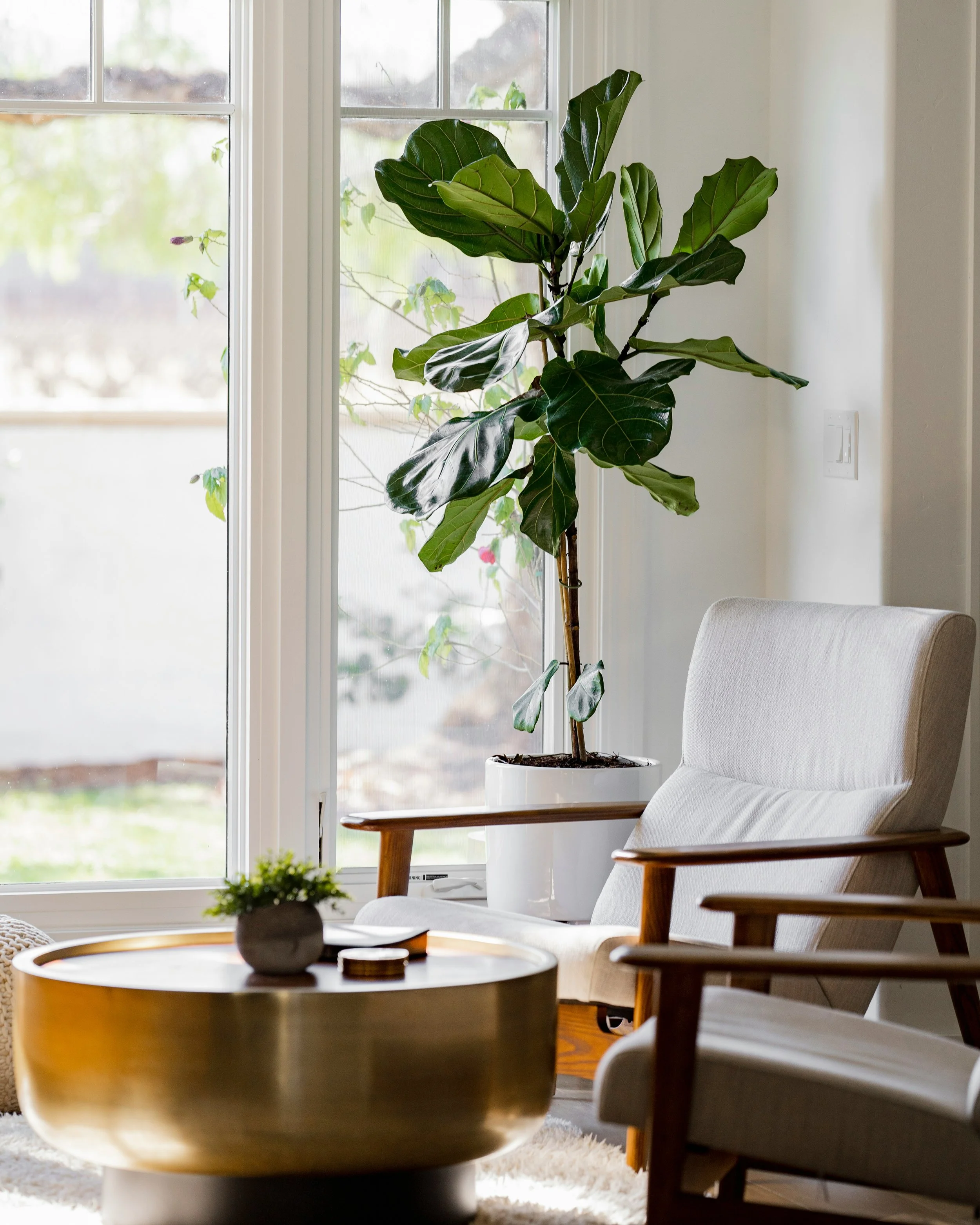 Calm home interior with soft natural light, a chair, and green plant by a window, representing a peaceful and settled living space