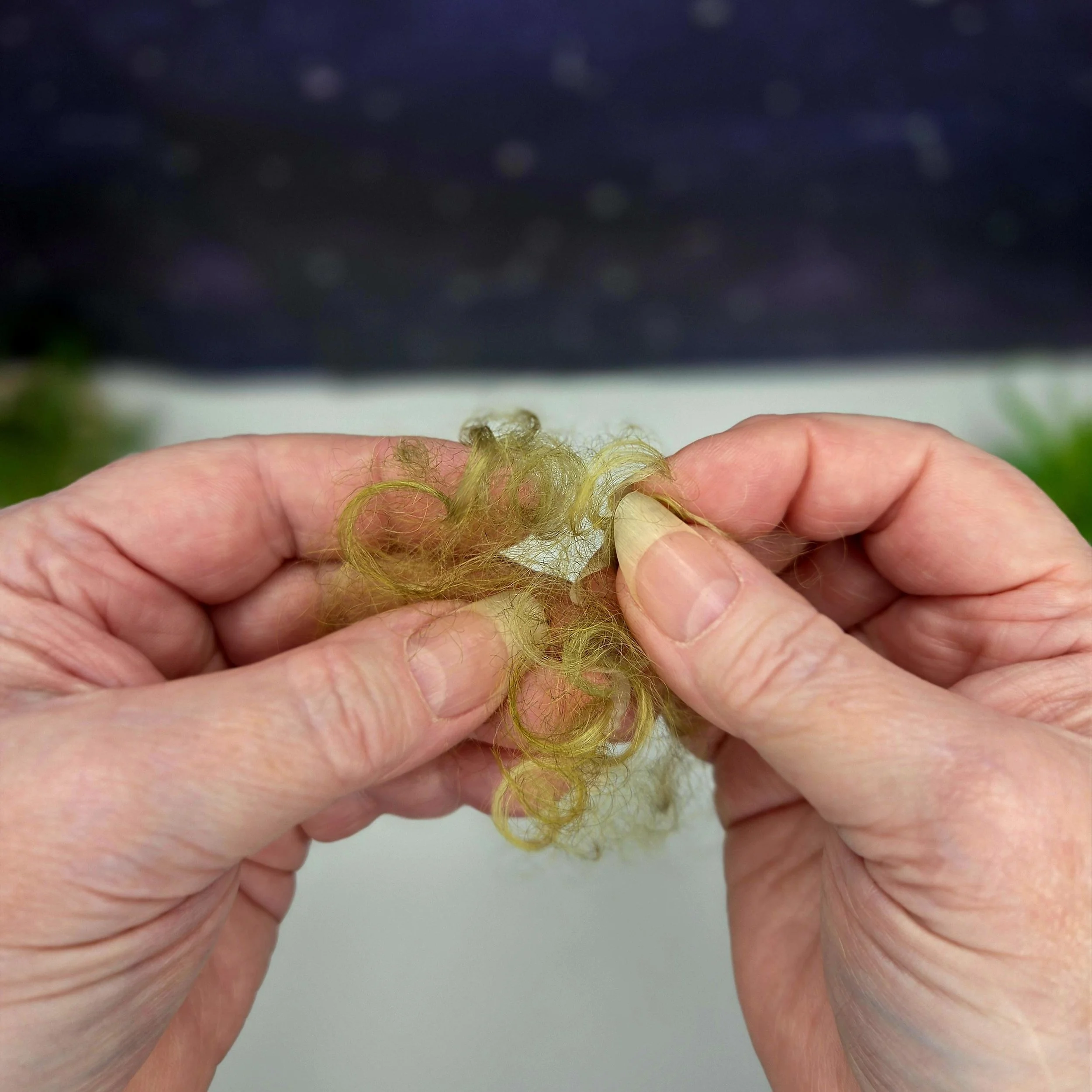 needle-felting-process-pulling-wool-fibers-texture-creation.jpg.jpg