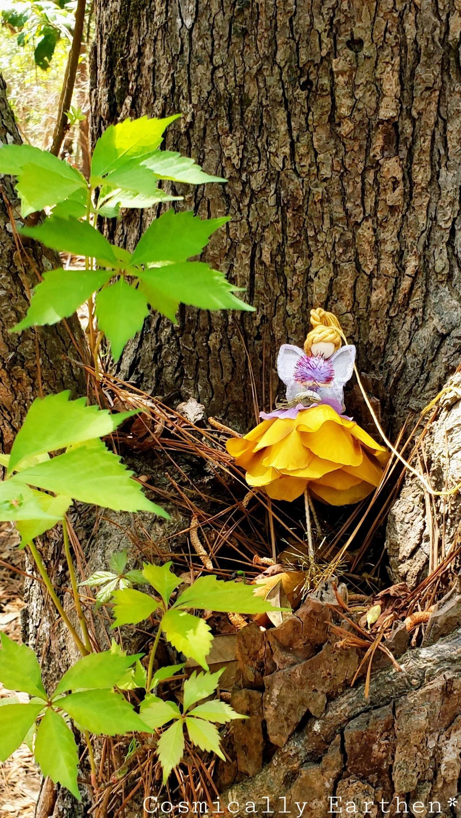 A small fairy doll with wings, wearing a yellow dress, placed in the tree trunk of a large tree in a forested area surrounded by green leaves and twigs.
