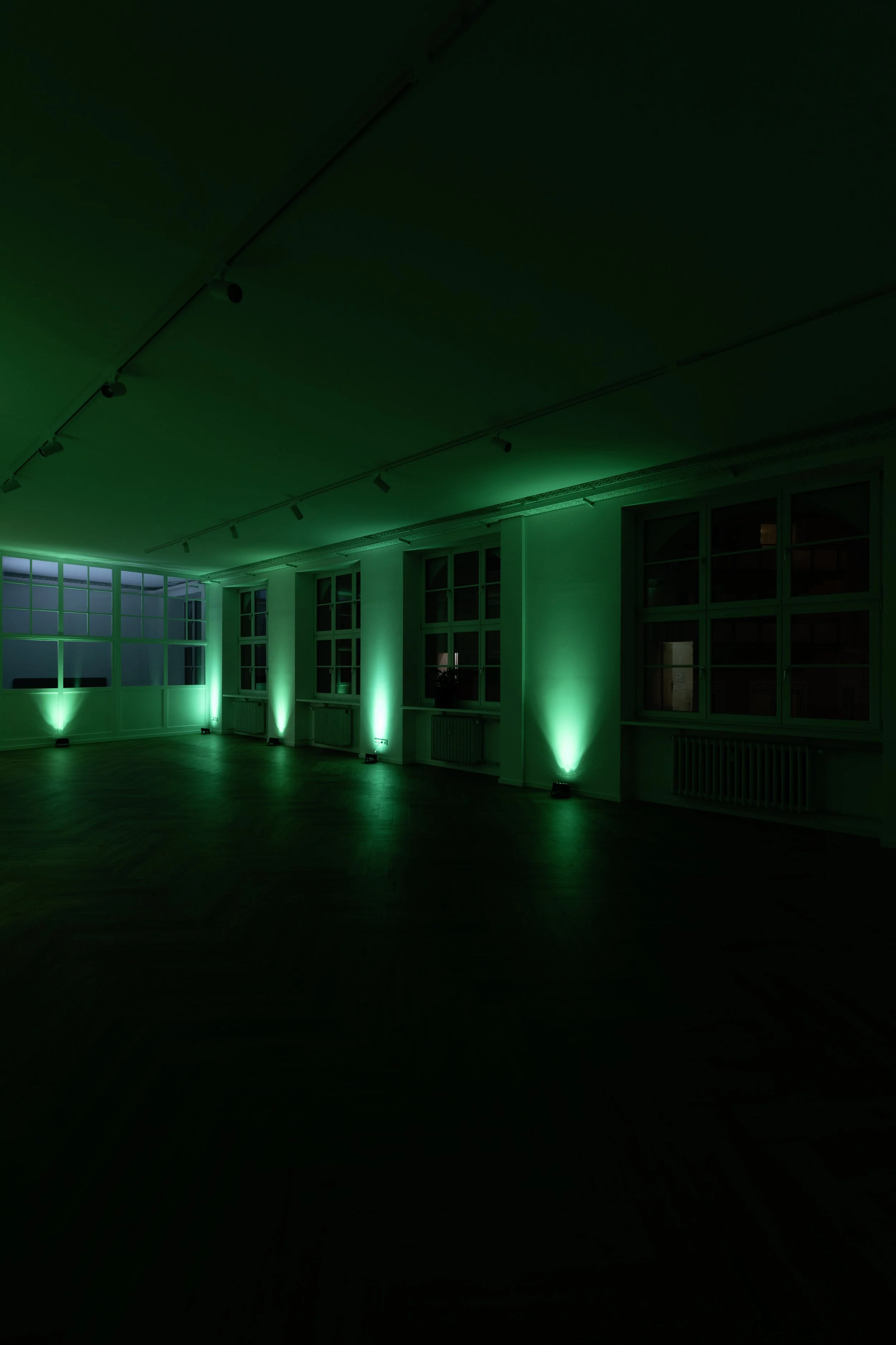 Ein leeres Raum mit dunklen Wänden, beleuchtet durch grüne Wand- und Deckenbeleuchtung.
