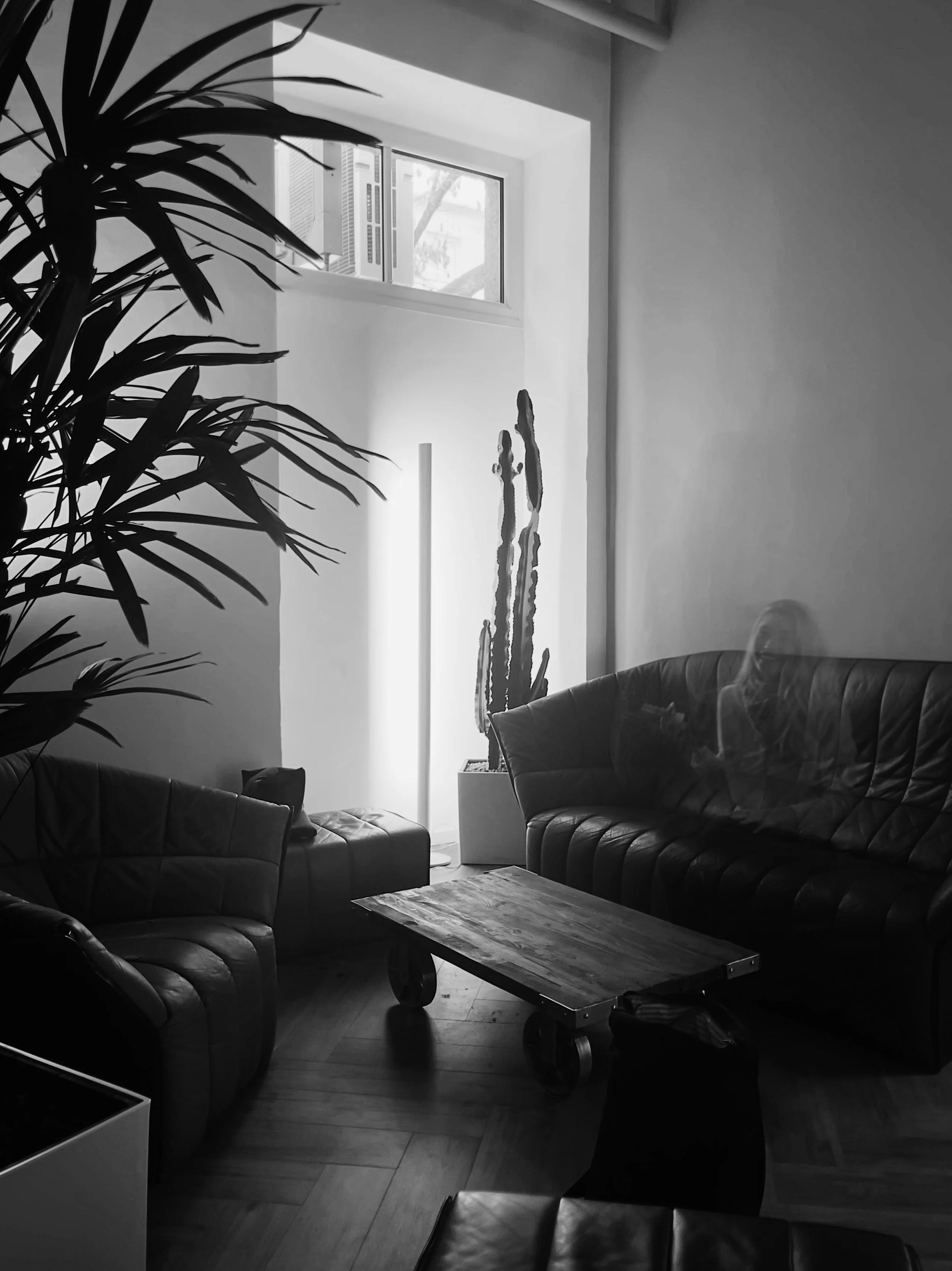 Ein schwarzer Ledersofas, ein Holztisch auf Rollen, Pflanzen und eine große Fensterfront in einem Wohnzimmer.
