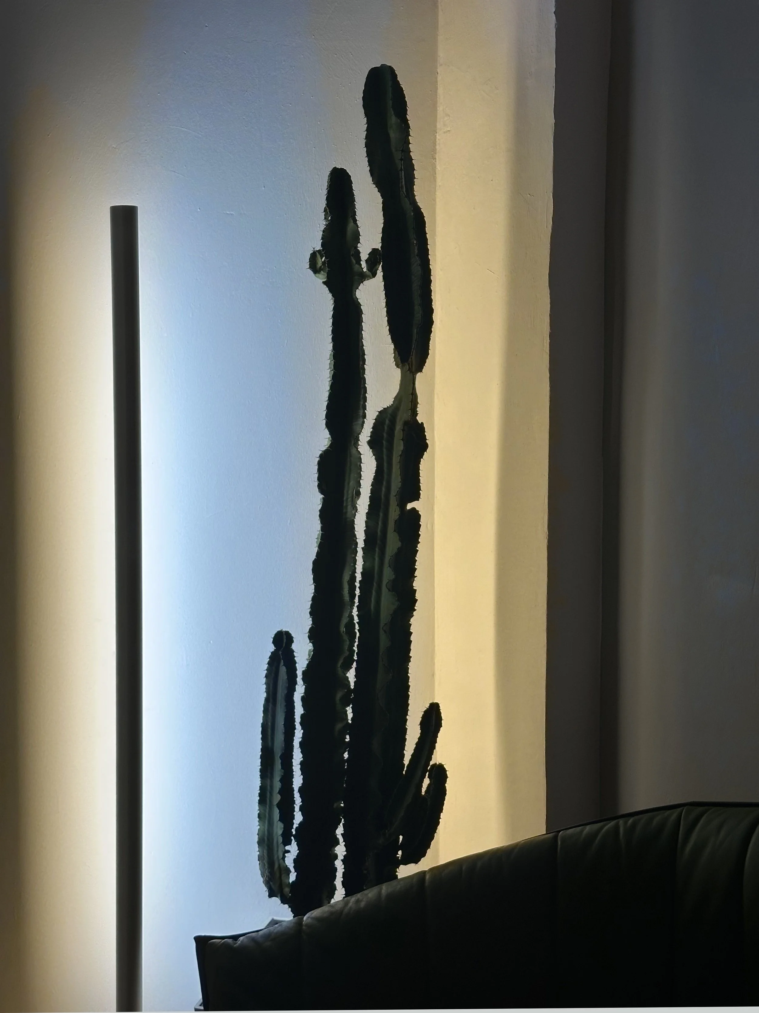 Inneneinrichtung mit einer großen Wüstencactus-Pflanze in einer Vase, auf einem Tisch vor einer mehrfarbigen Wand mit Beleuchtung.