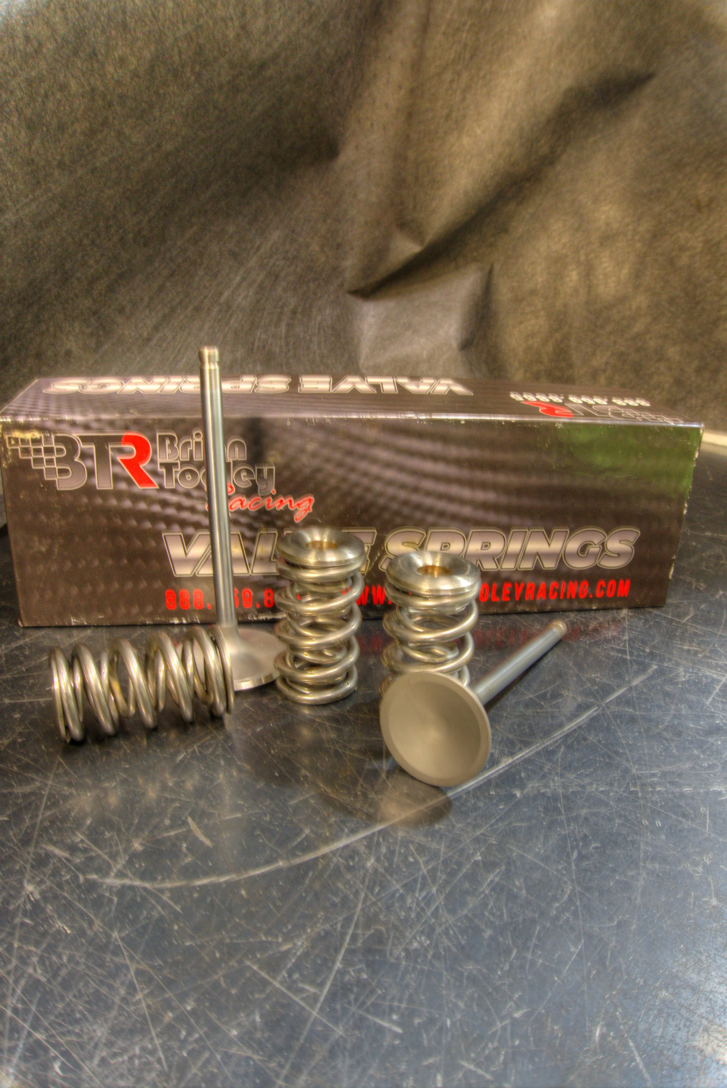 Brian Tooley Racing (BTR) Performance Valve Springs