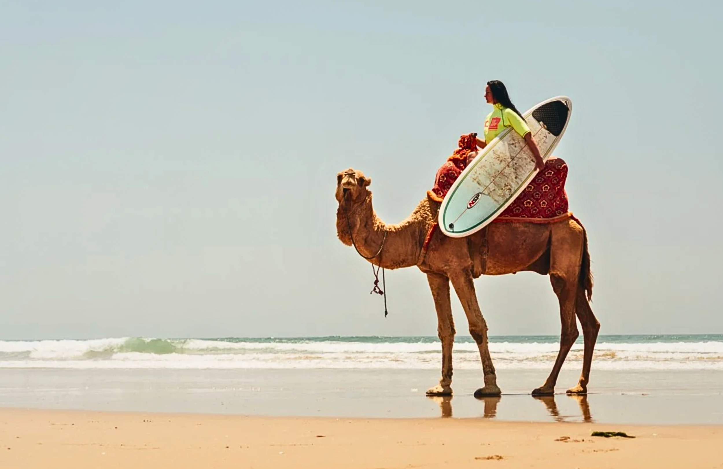 Surfs Up: Coast to Coast Style