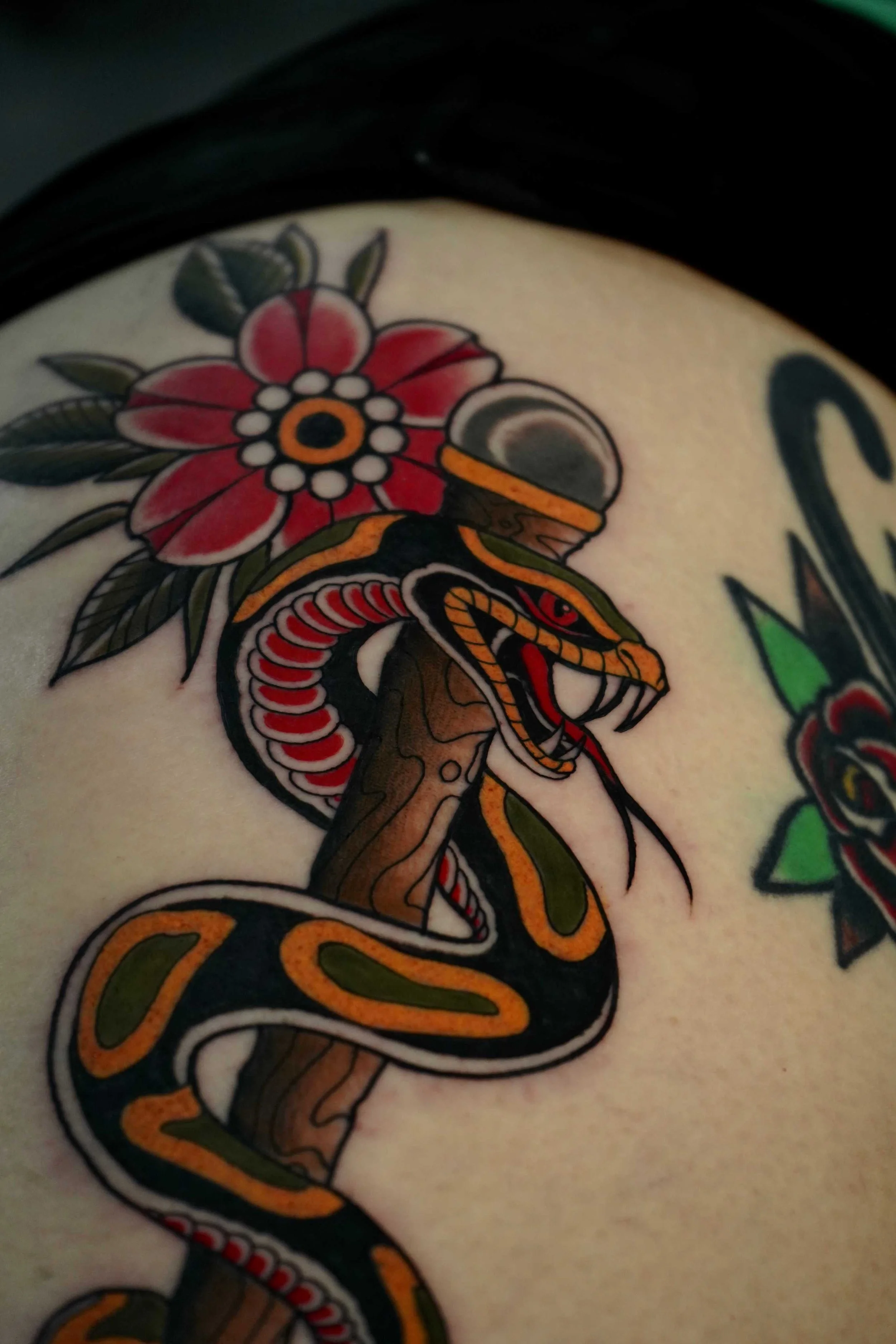 Neo traditional slange tatovering i farver lavet af tatovør Bruno Mazallo
