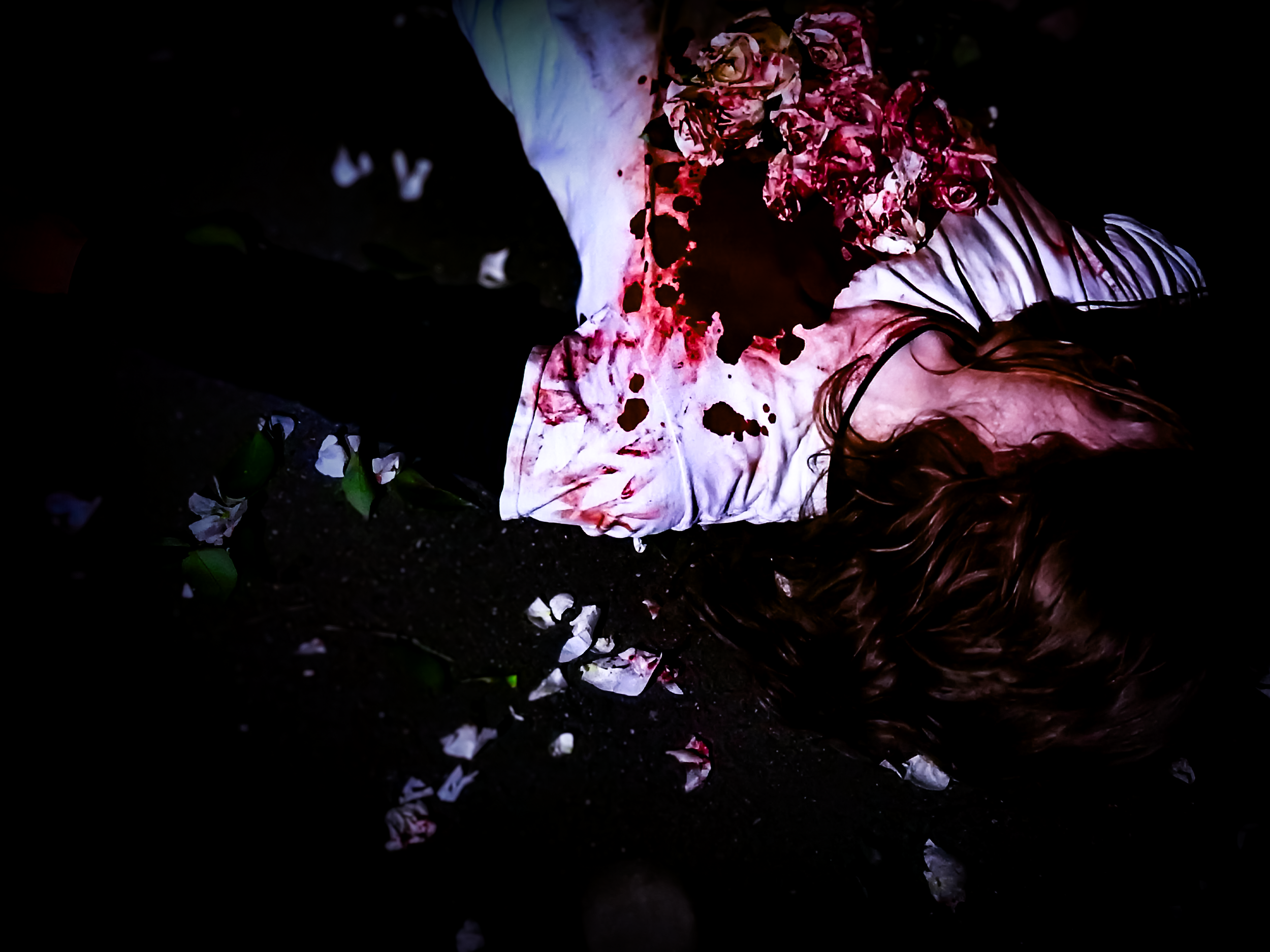 White roses, red food coloring, and a heart that is broken. Winter 2024.