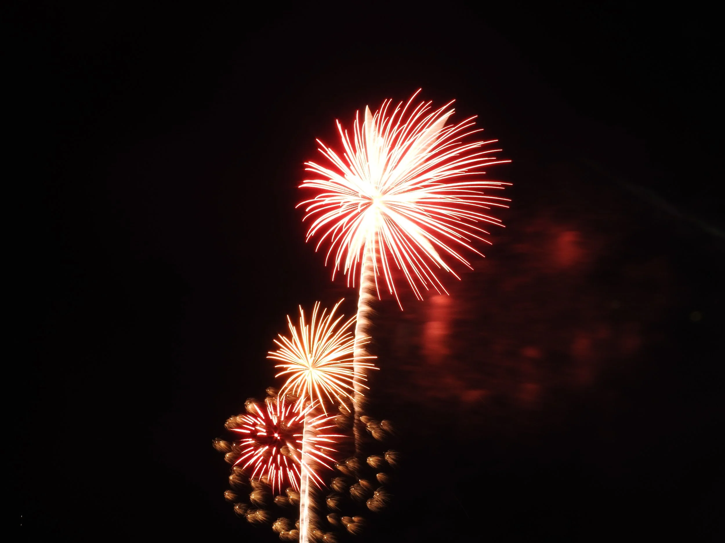 Firework3.jpeg