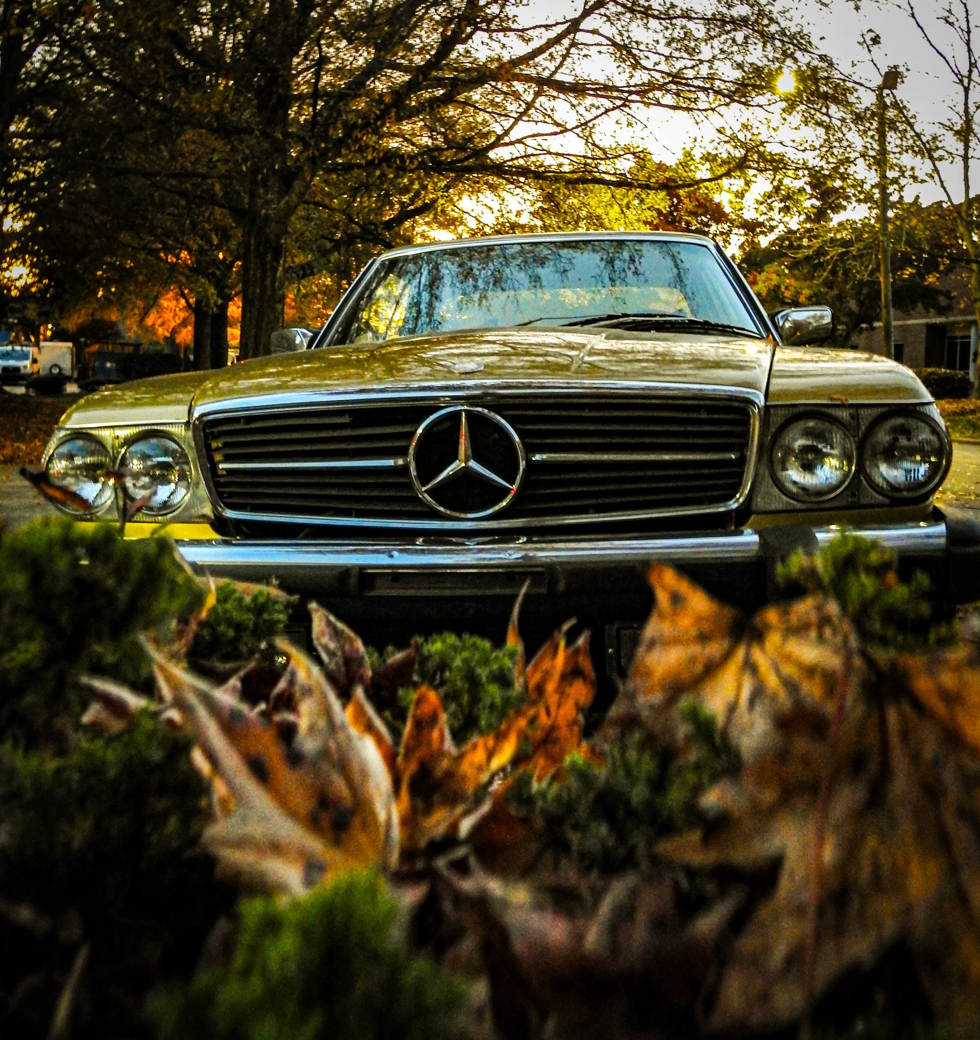 Yellow Mercedes Benz 450 SLC