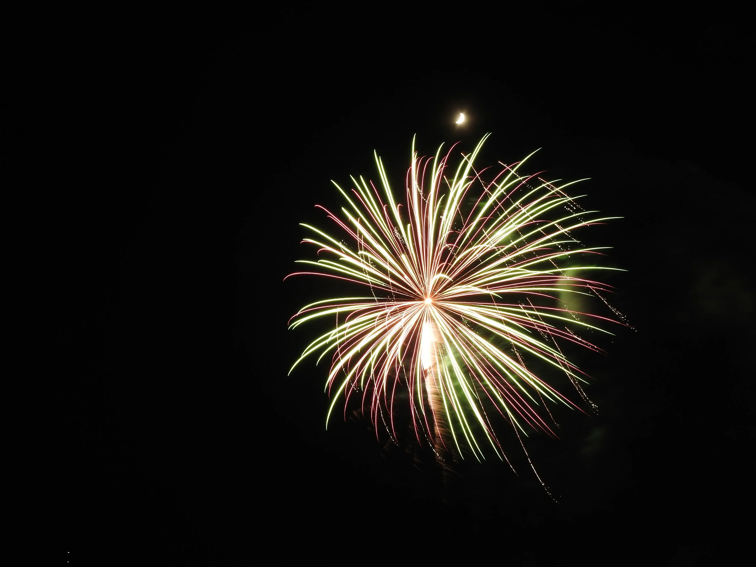 Firework7.jpeg