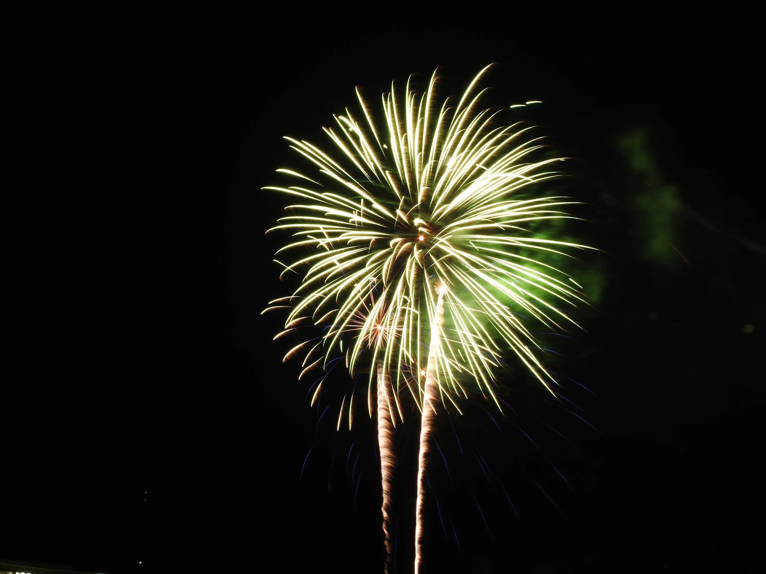 Firework4.jpeg
