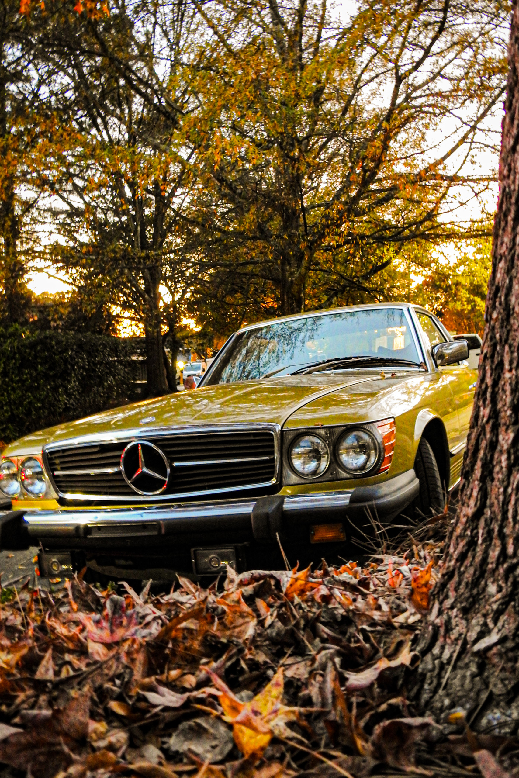 Mercedes.png