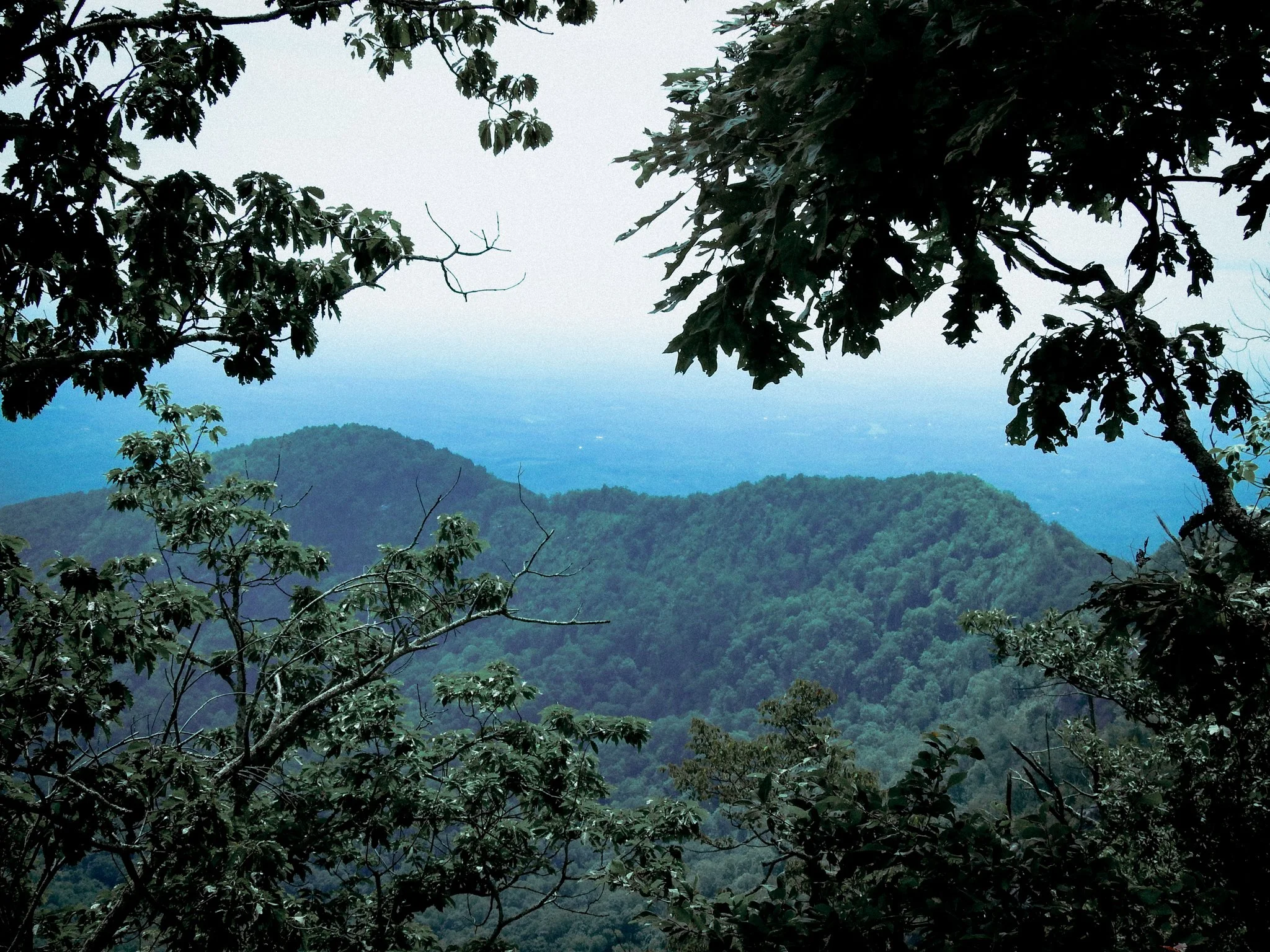 A view from Morrow Mountain