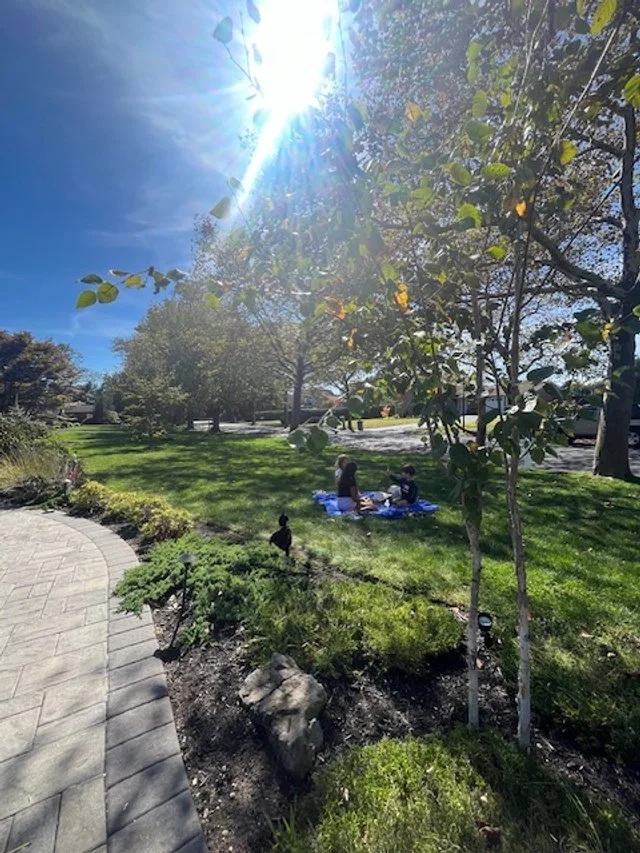 Let’s stop for a picnic in the park