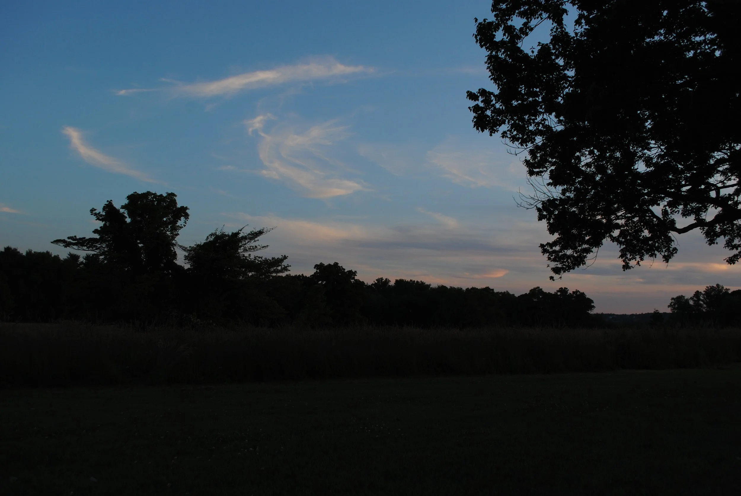 DSC_0019.jpeg