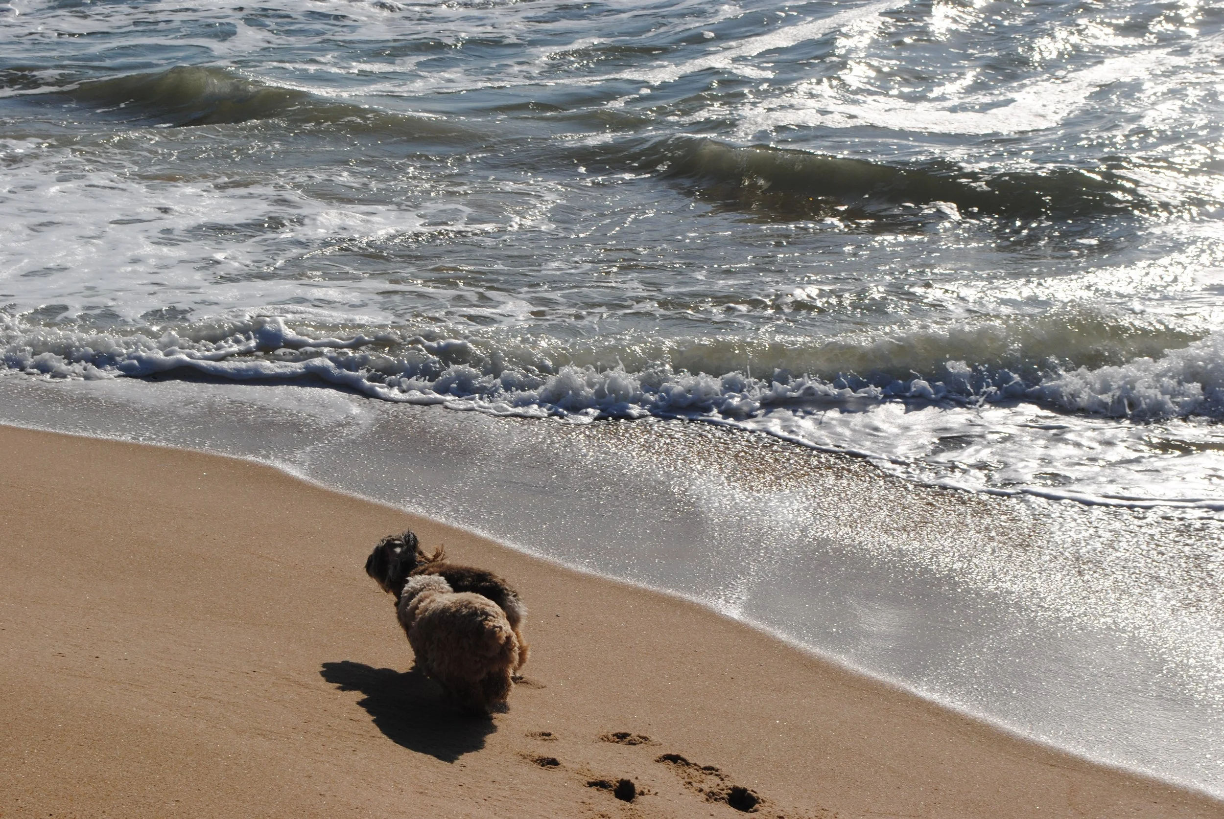 DSC_0615.jpeg