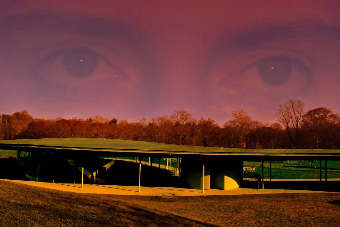 visionary vista.jpg