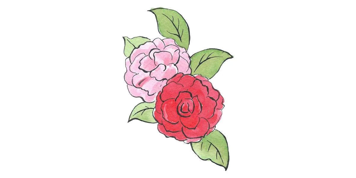 Hand-painted flowers - watercolor, ink pen