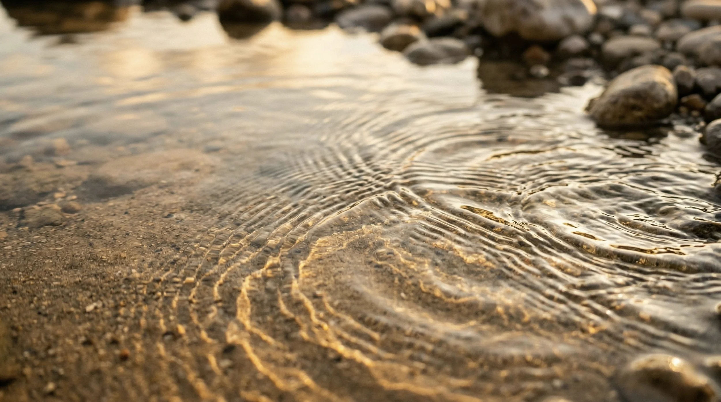 Food Noise: Why You Can't Stop Thinking About Food