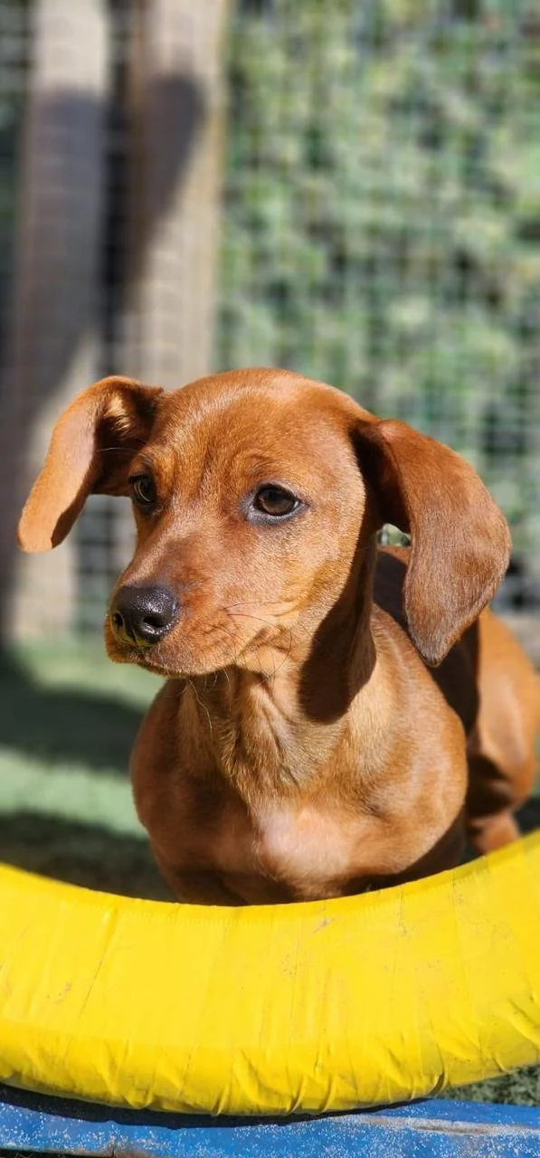 WhatsApp Image 2025-05-23 at 15.56.41 (2).jpeg