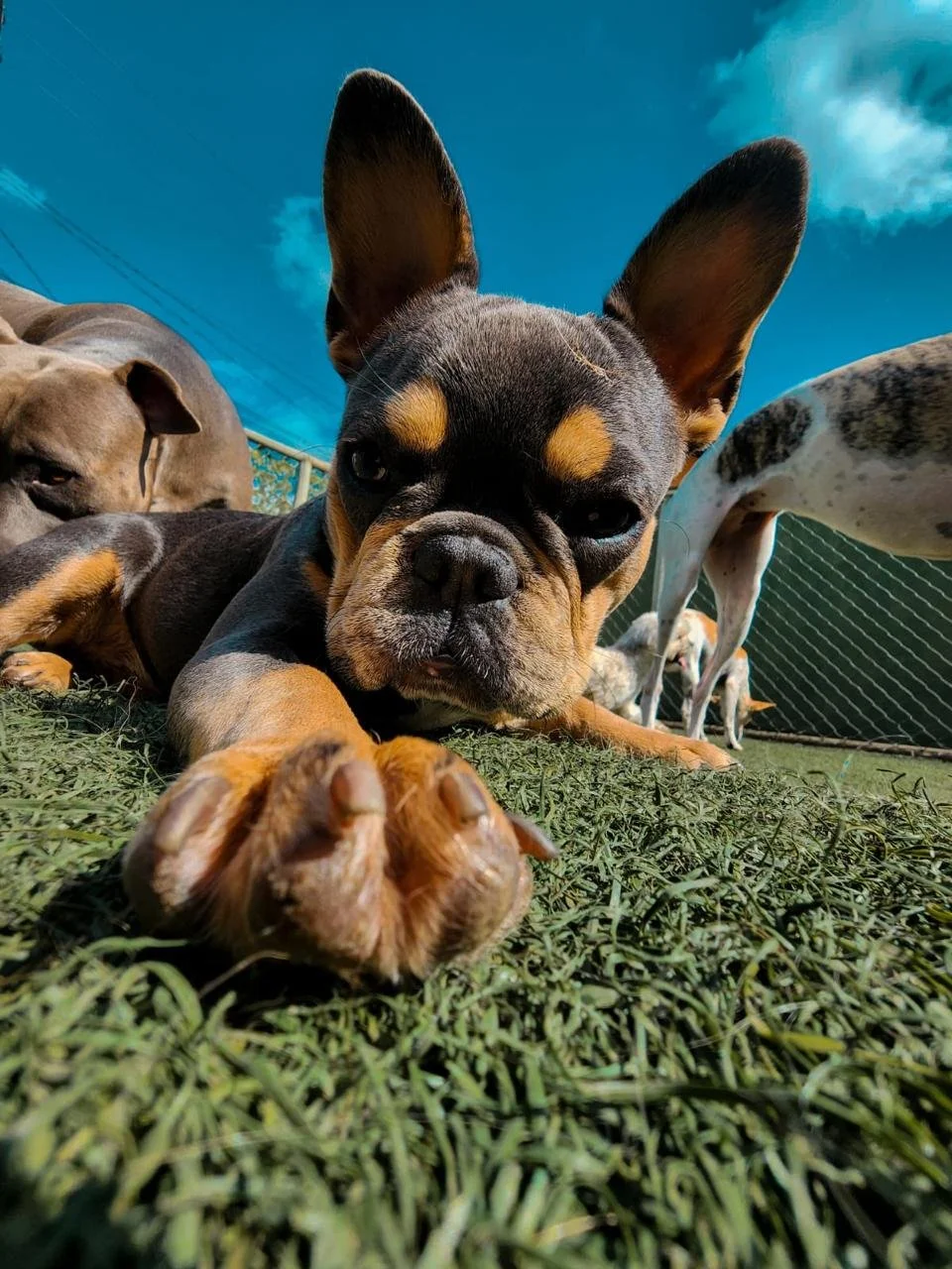 WhatsApp Image 2025-05-23 at 15.56.41 (3).jpeg