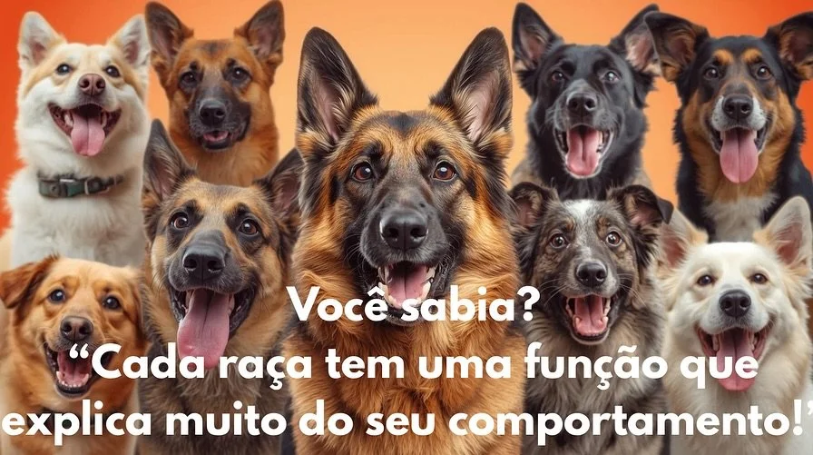 ✨ Voc&ecirc; sabia que cada ra&ccedil;a de cachorro foi criada com uma fun&ccedil;&atilde;o espec&iacute;fica?
Isso explica porque alguns s&atilde;o mais ativos, outros mais protetores ou at&eacute; mais apegados ao colo. 🐾

OBS.: n&atilde;o &eacute