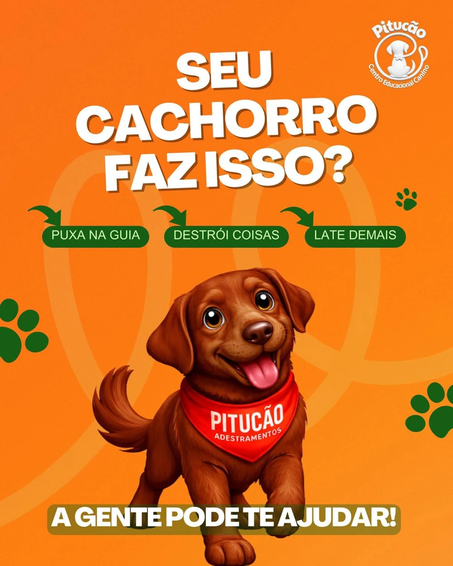 Se voc&ecirc; respondeu SIM para algum desses, seu c&atilde;o precisa de direcionamento.
E quanto antes voc&ecirc; come&ccedil;ar, mais r&aacute;pido ele aprende 🐶
📩 Agende uma avalia&ccedil;&atilde;o!

#cachorroarteiro #adestrador #caes #educacaoc