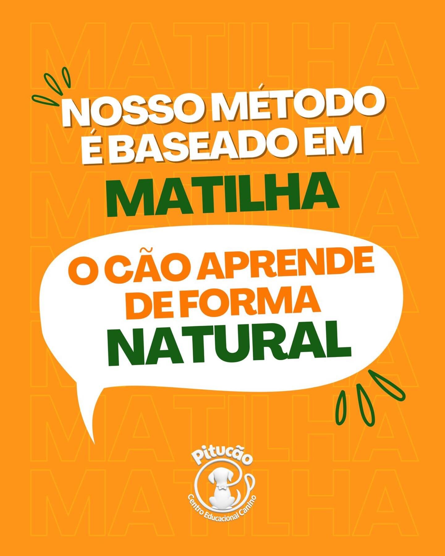 Nosso m&eacute;todo &eacute; baseado em matilha 🐾
&Eacute; assim que o c&atilde;o aprende de forma NATURAL.
Aqui ele desenvolve:
✔ socializa&ccedil;&atilde;o
✔ equil&iacute;brio
✔ obedi&ecirc;ncia

#matilha #socializacaocanina #caes #adestramento #p