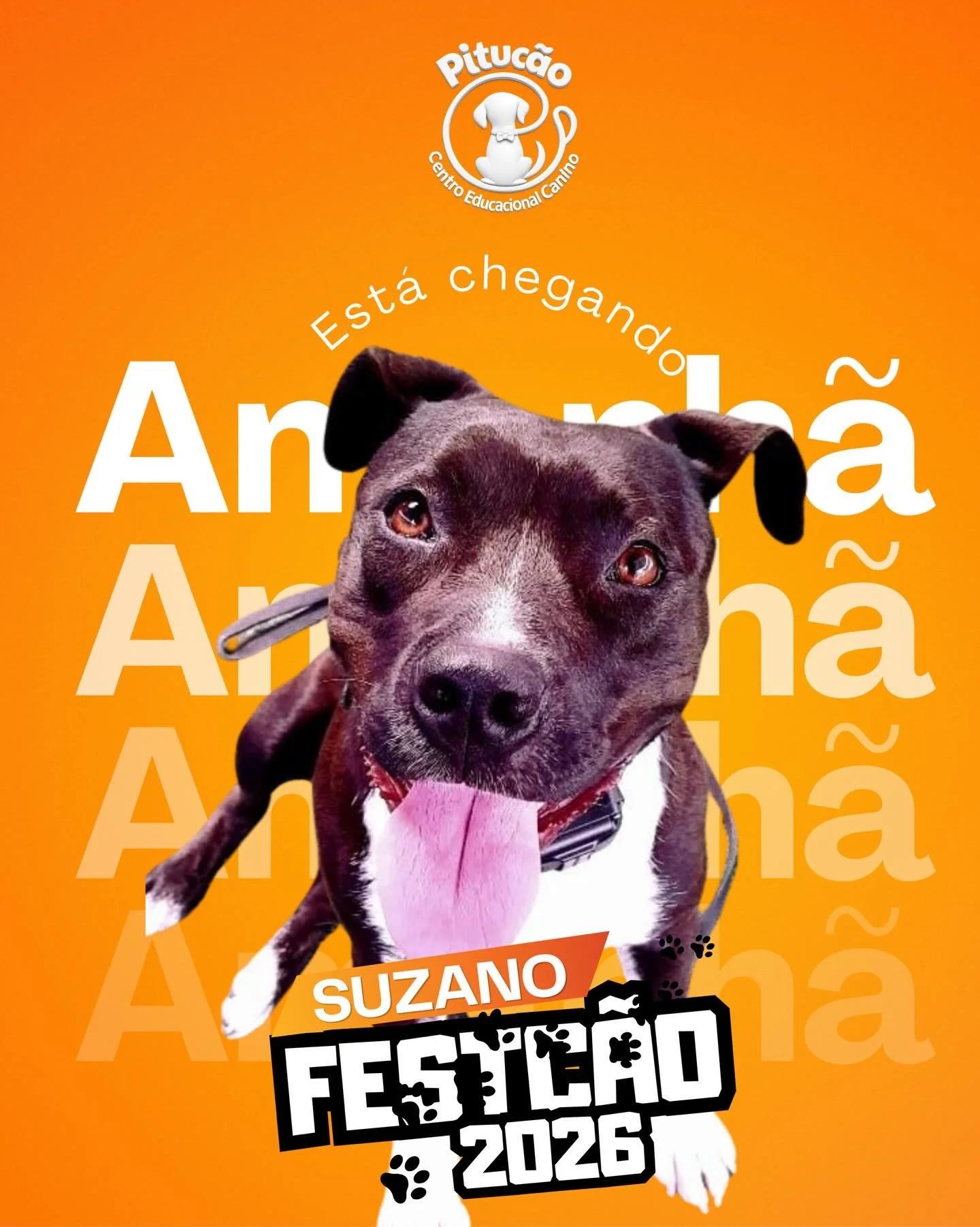 🐾🎉 T&aacute; chegandooooo!

A FestC&atilde;o 2026 em Suzano j&aacute; est&aacute; batendo na porta&hellip; e a ansiedade por aqui t&aacute; como? 🤩🐶

A Pitu&ccedil;&atilde;o &ndash; Centro Educacional Canino j&aacute; est&aacute; pronta para mais