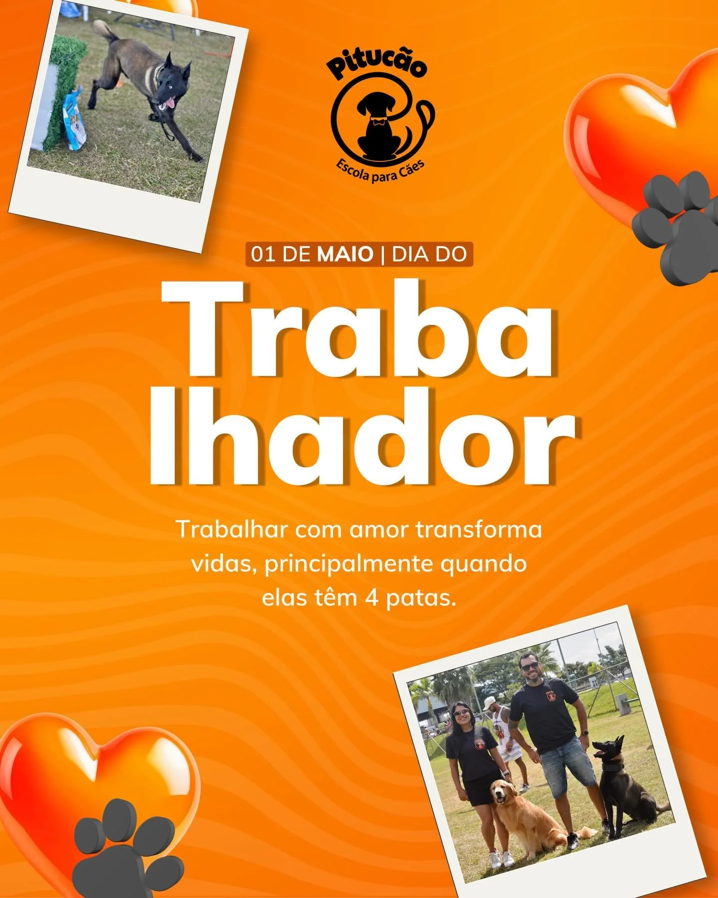 🐾🧡 Feliz Dia do Trabalhador!

Hoje celebramos todos aqueles que se dedicam todos os dias com amor, responsabilidade e prop&oacute;sito. ✨

E por aqui, temos muito orgulho de dizer que nosso trabalho vai al&eacute;m do adestramento&hellip;
💬 &Eacut