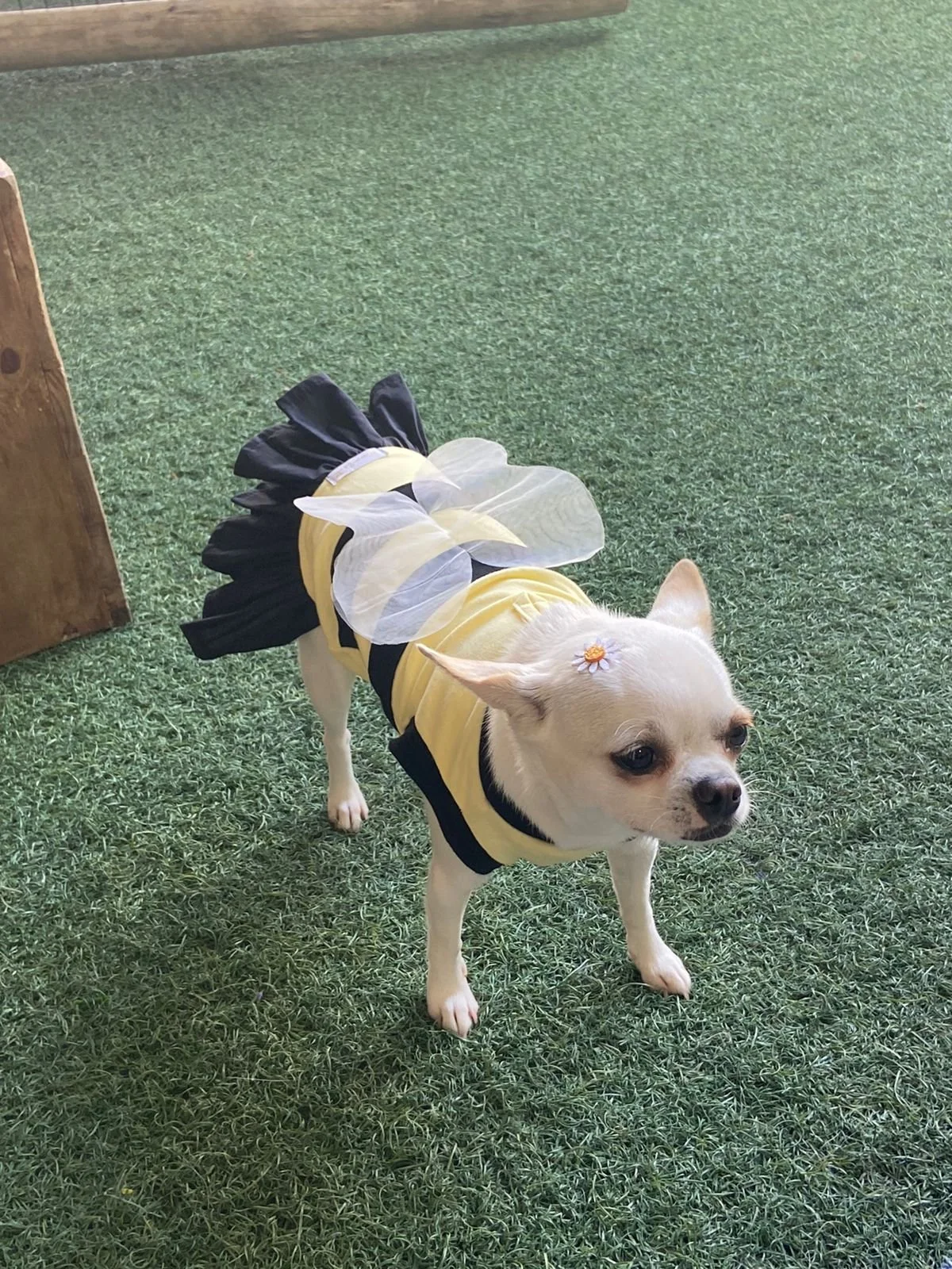 WhatsApp Image 2022-06-06 at 15.22.09.jpeg