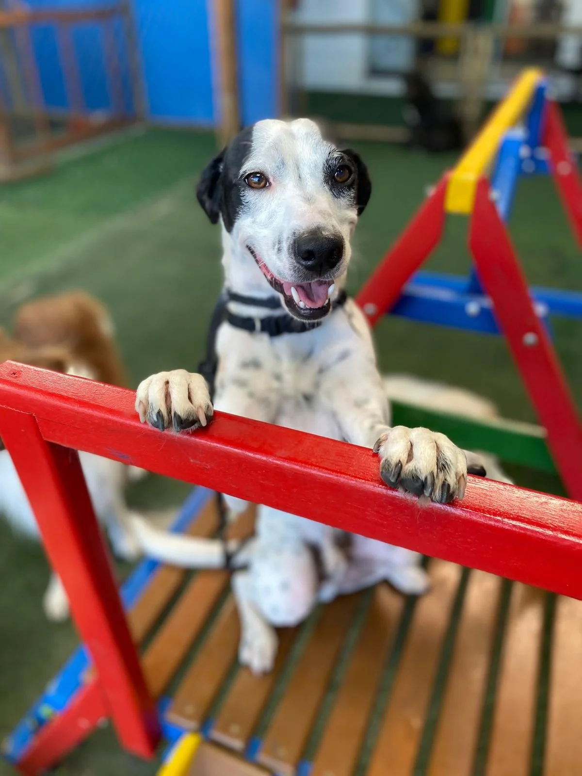 WhatsApp Image 2025-05-20 at 15.05.24 (2).jpeg