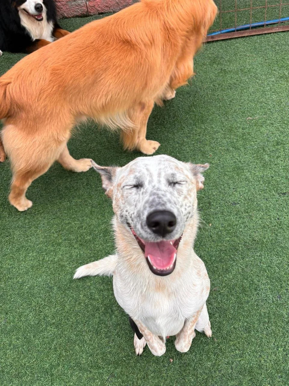 WhatsApp Image 2025-05-23 at 15.56.44.jpeg