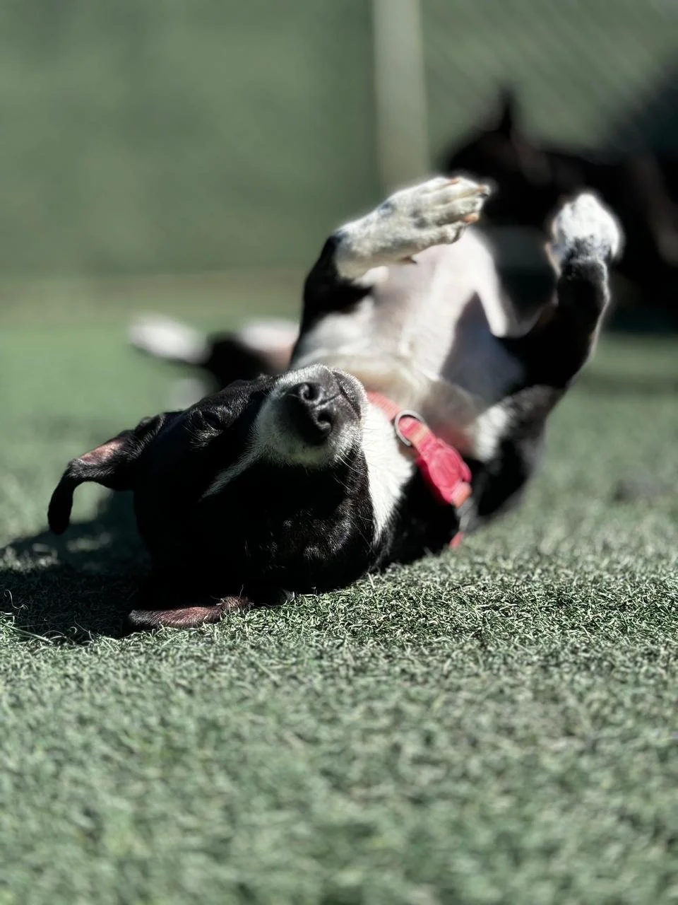 WhatsApp Image 2025-05-23 at 15.56.44 (1).jpeg