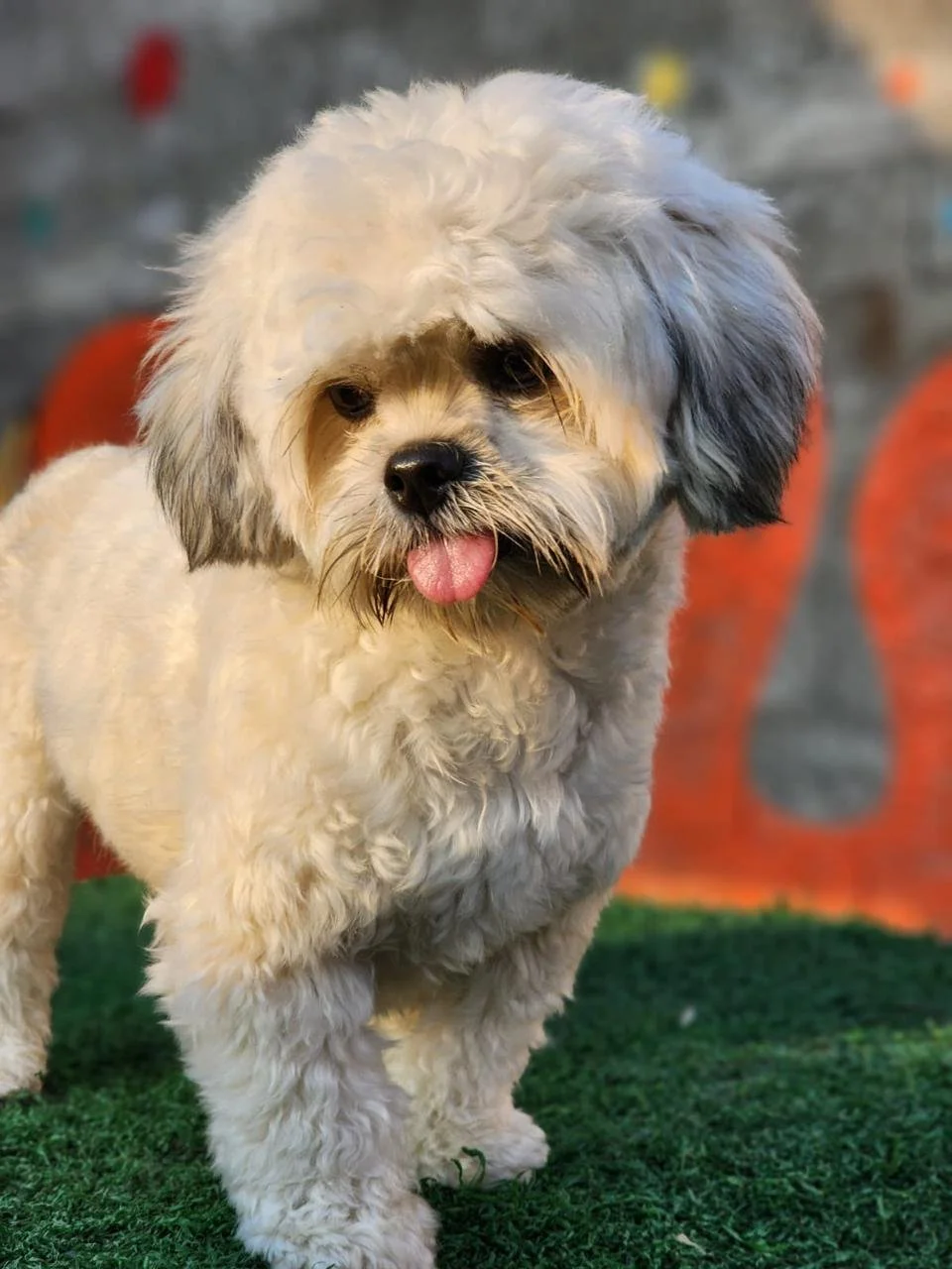 WhatsApp Image 2025-05-23 at 15.56.43 (4).jpeg