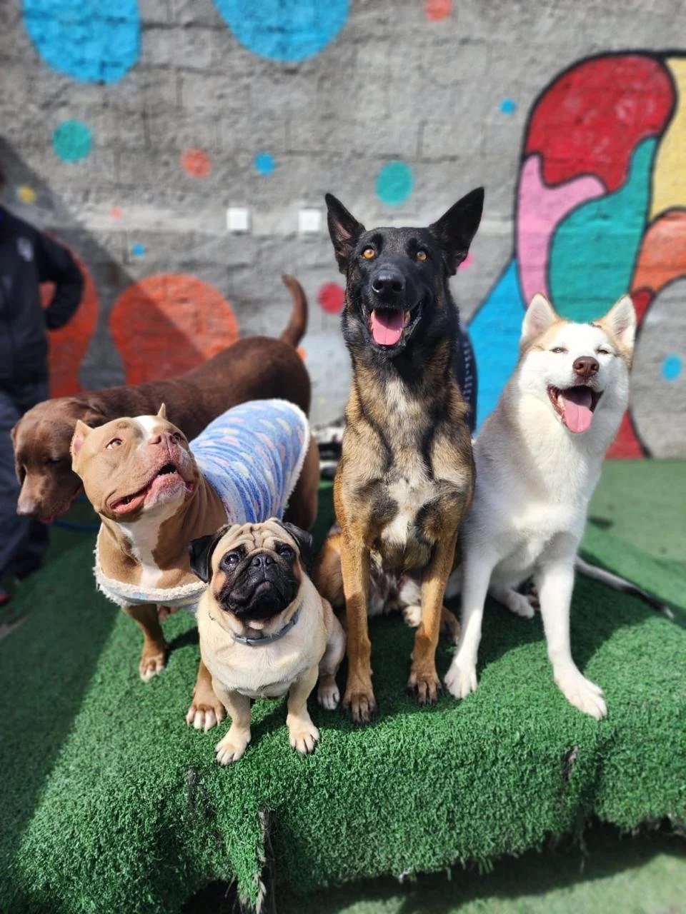 WhatsApp Image 2025-05-23 at 15.56.43 (2).jpeg