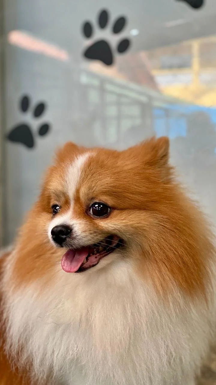 WhatsApp Image 2024-10-24 at 14.03.31 (4).jpeg